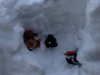 Not as Warm as You Would Think...