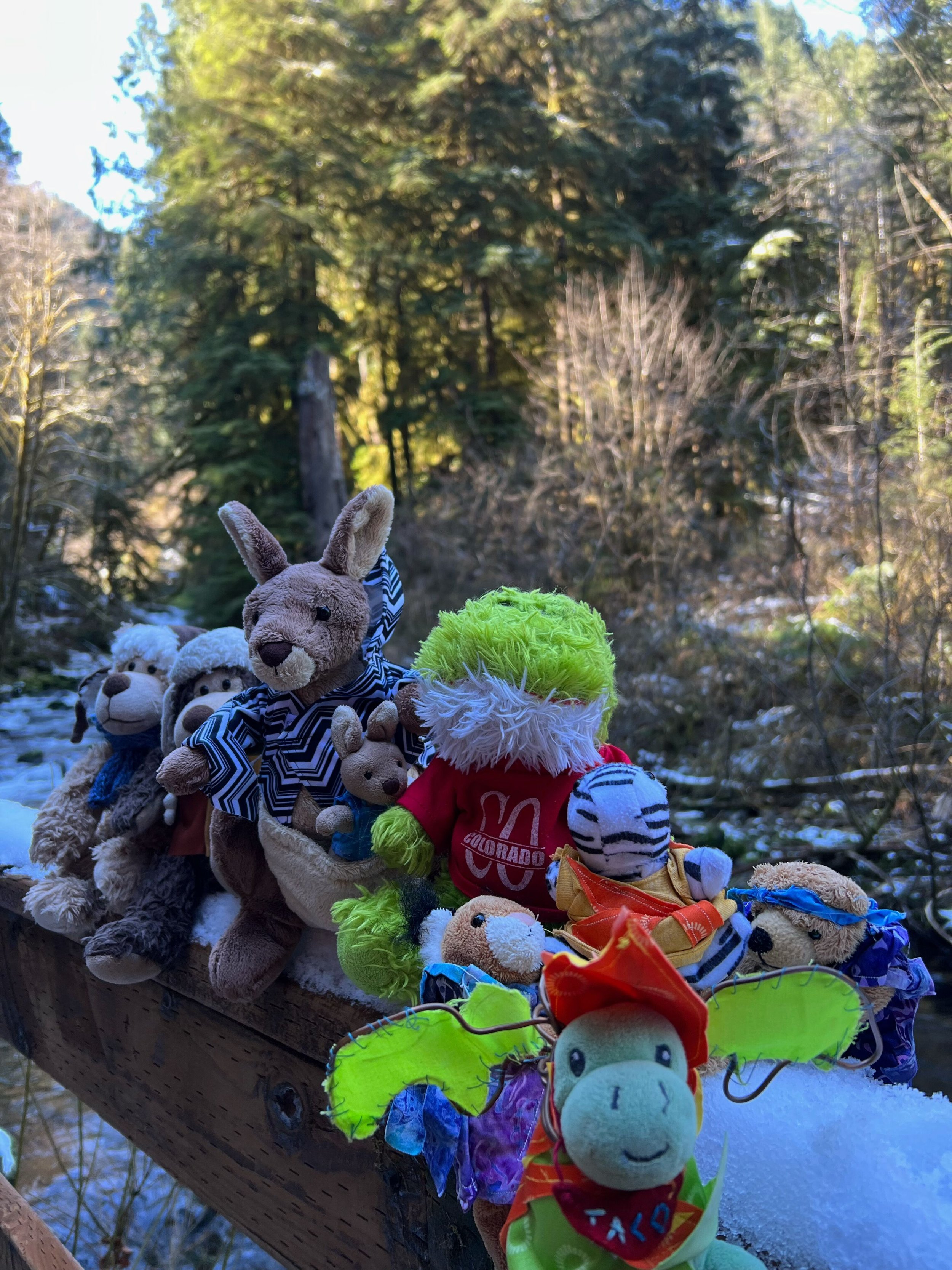 A Snowy Day, 5 Ways...