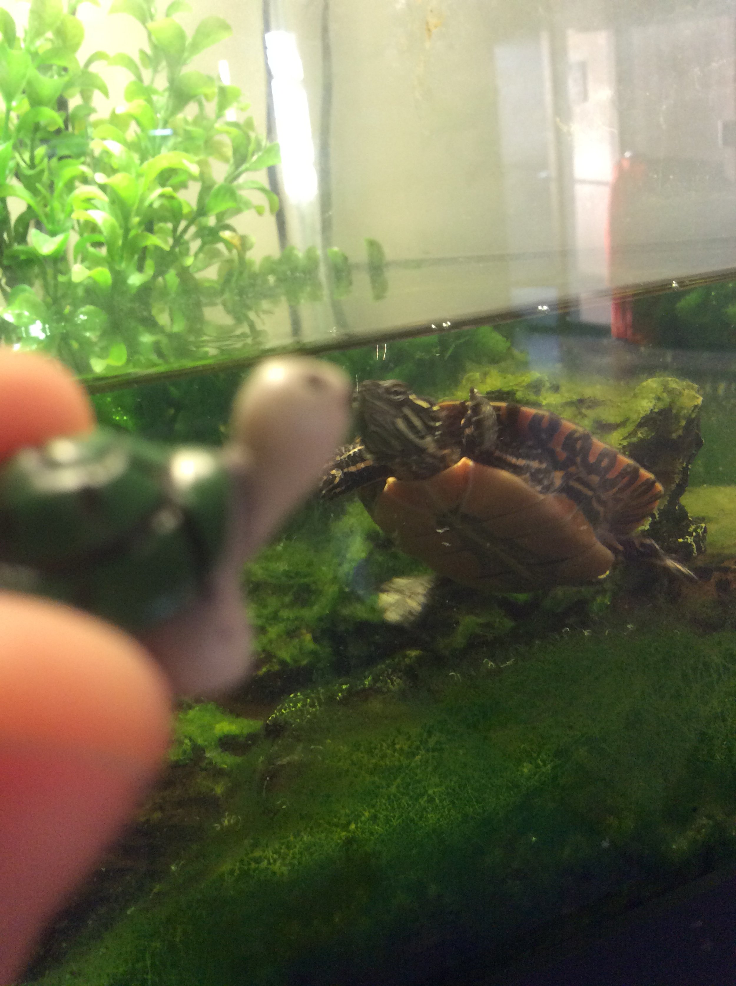 It's Like Looking in a Mirror