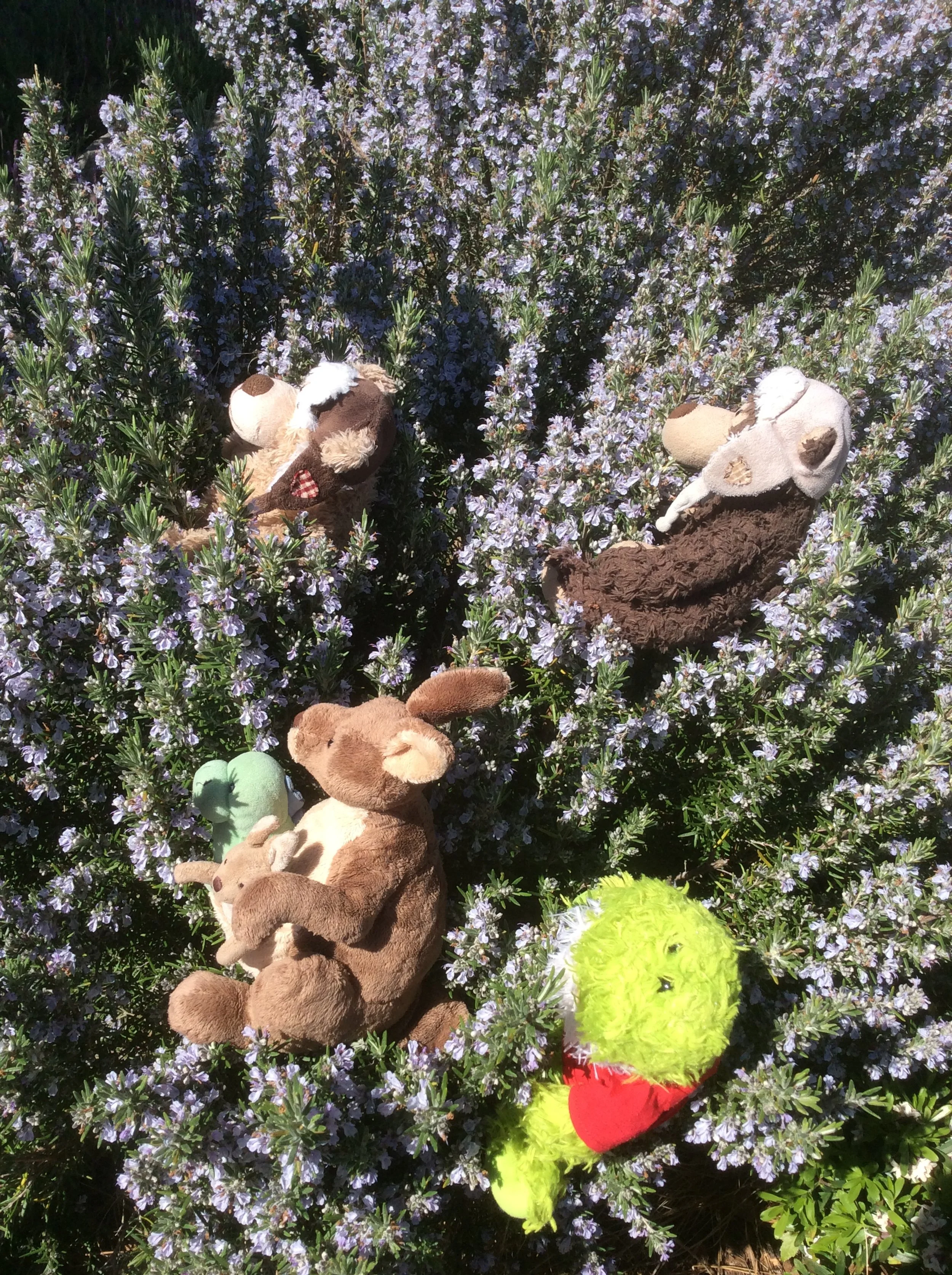 There is Something Wrong with this Island...