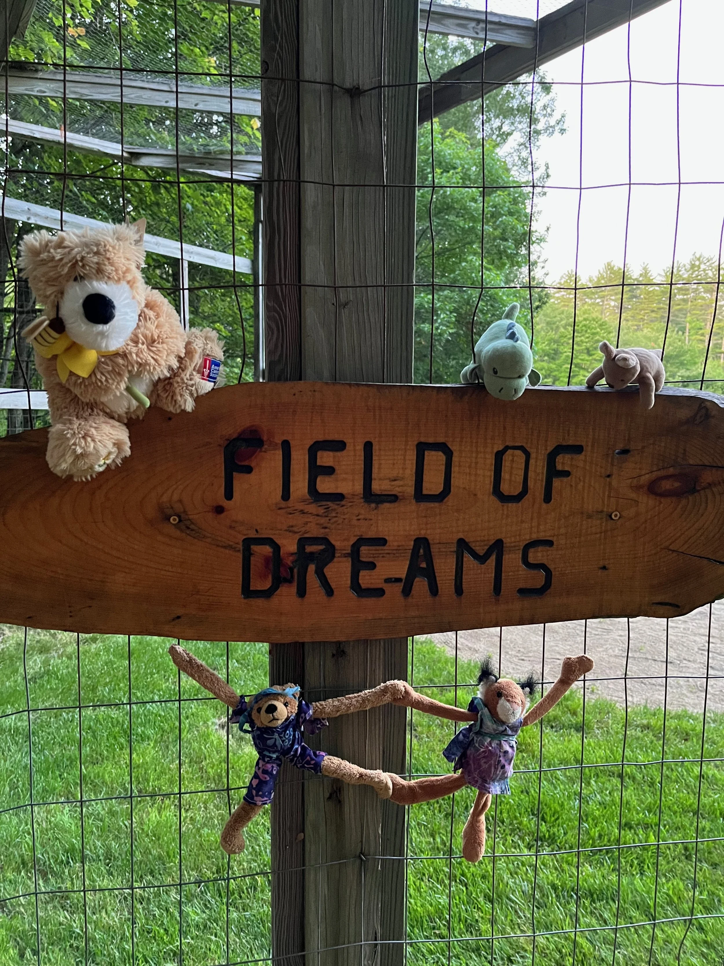 Is Fajita Too Young for Camp?