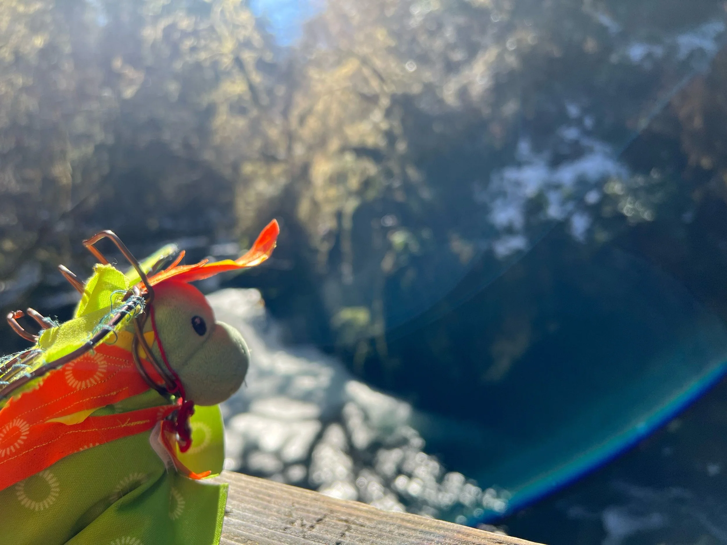 Taco's Business Updates