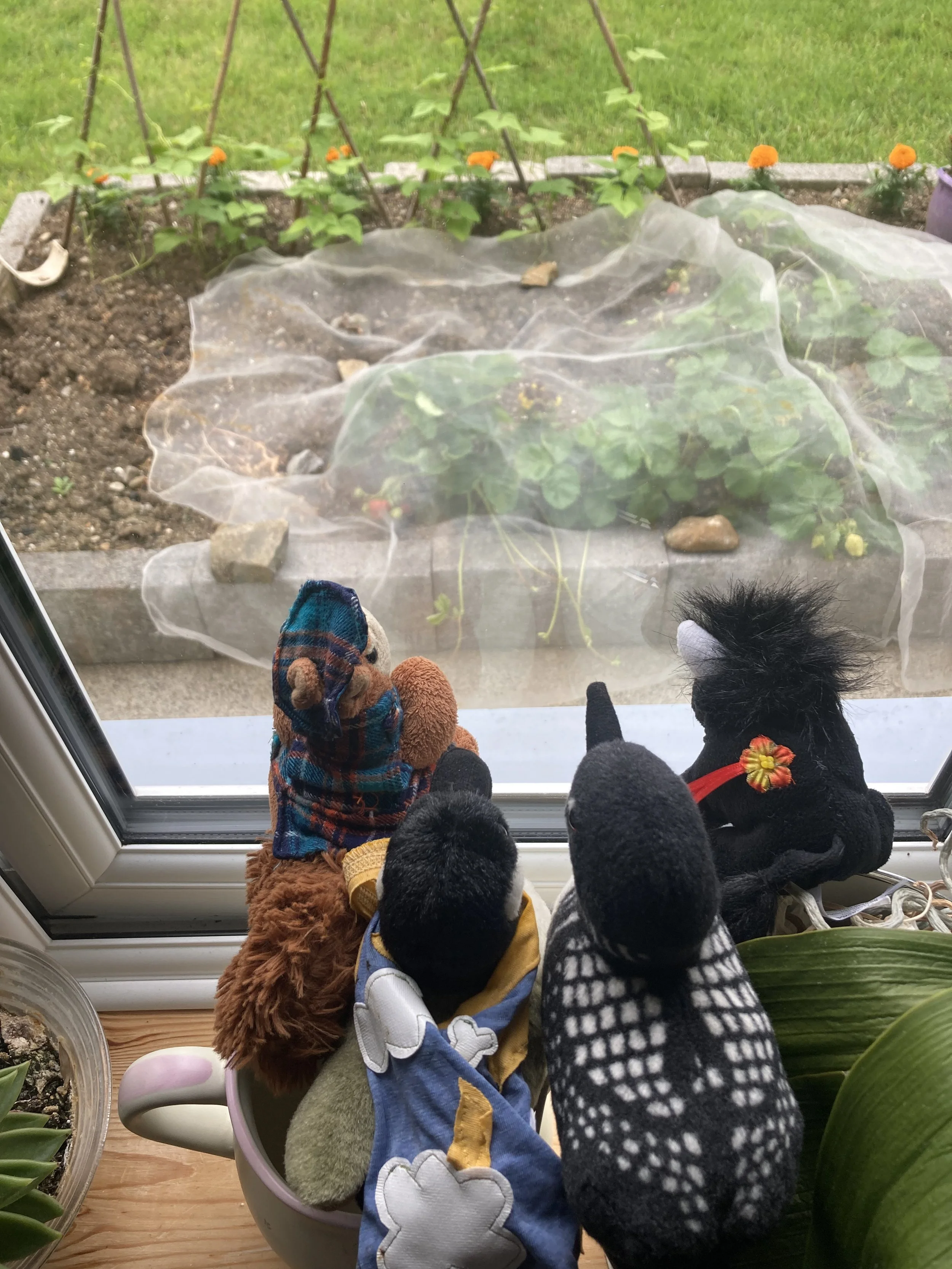 Trees and Strawberries- Hooray!