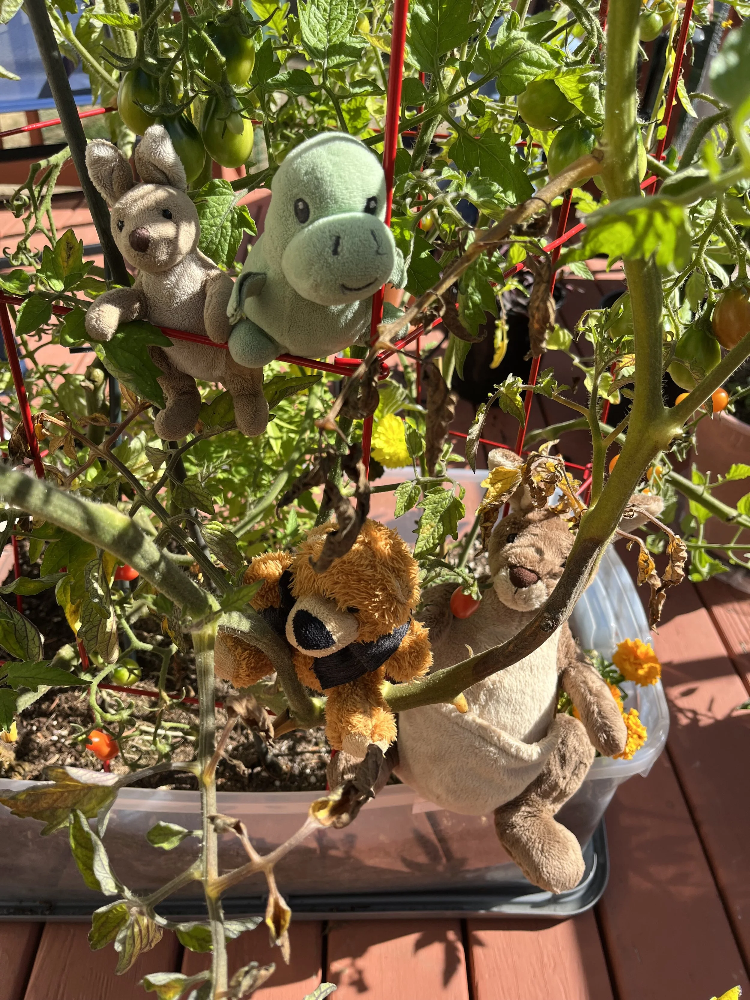 Johnny Whoop Looks for a Business Opportunity