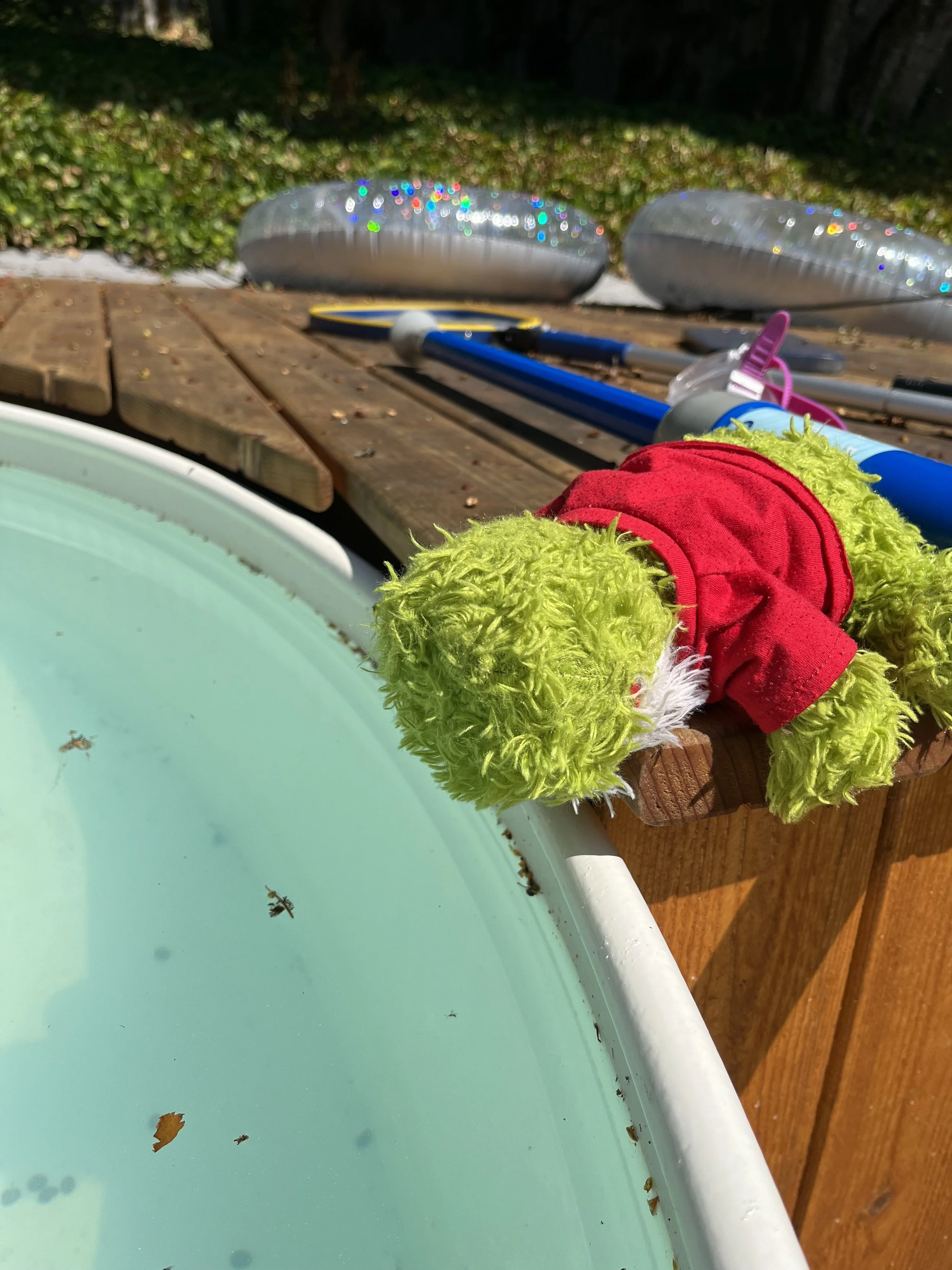 Froggy Finds a New Home