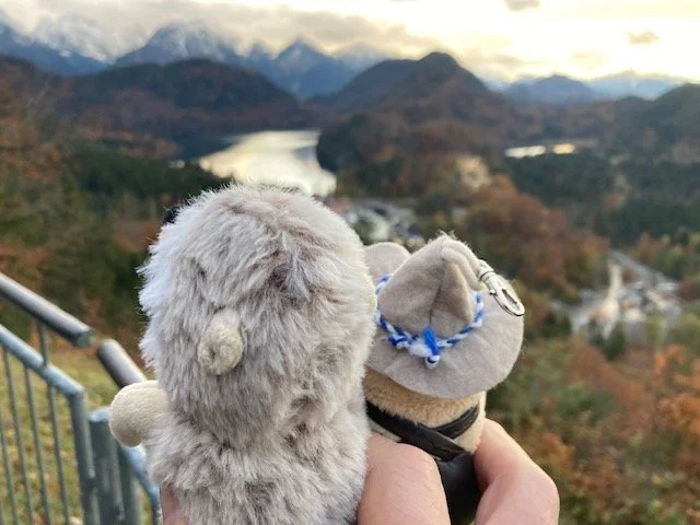 Meet our Newest Friend!