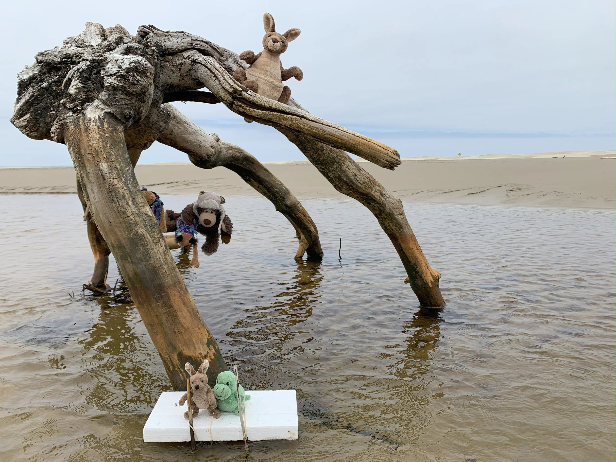 River Cruise of a Lifetime