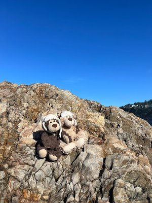 Stay-cation?  Come On!