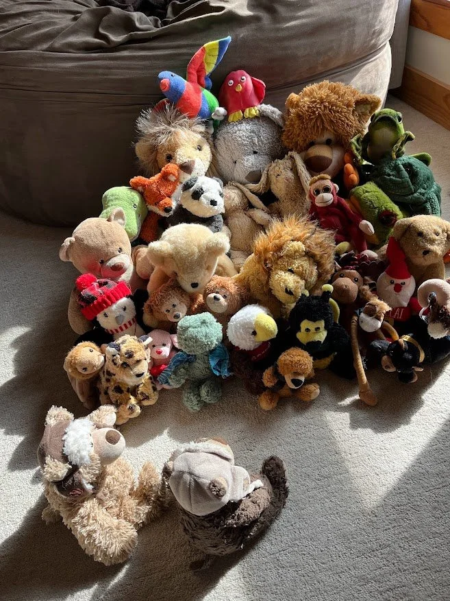 Yeti Hits the Campaign Trail