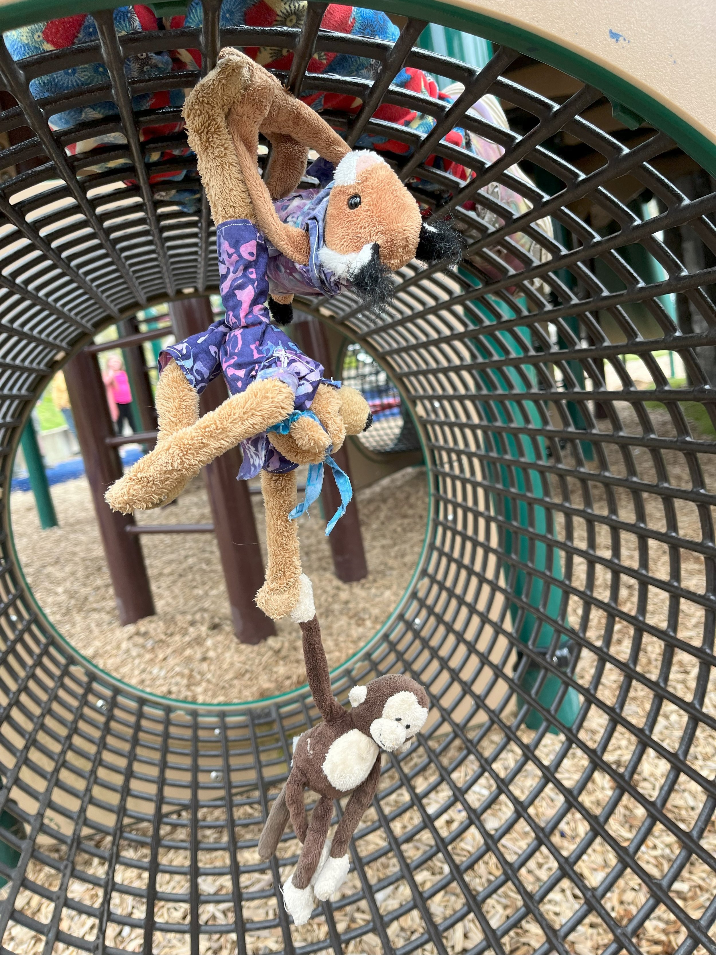 Stunt Team Gets a Third