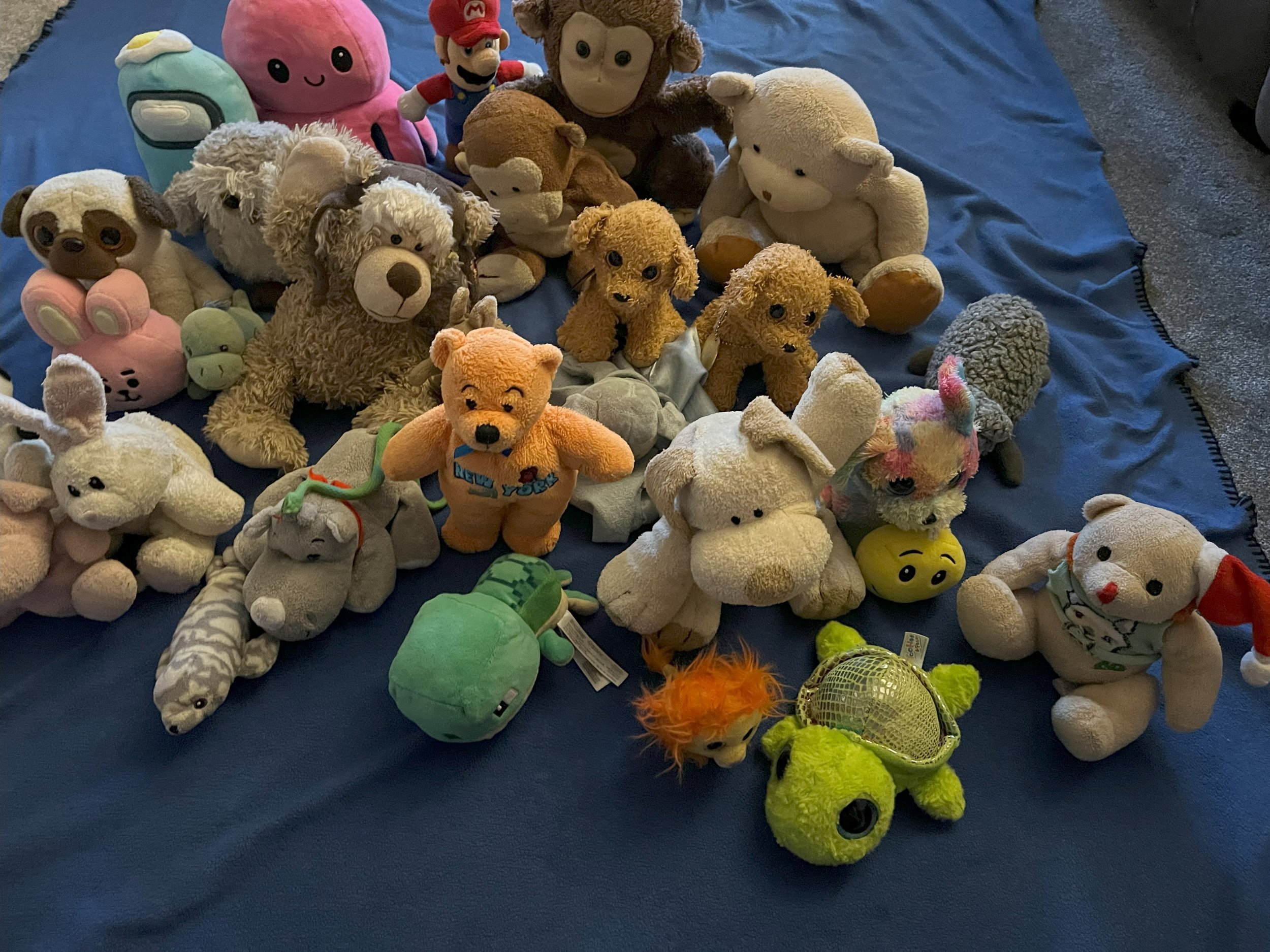 Yeti Answers Some Hard Questions