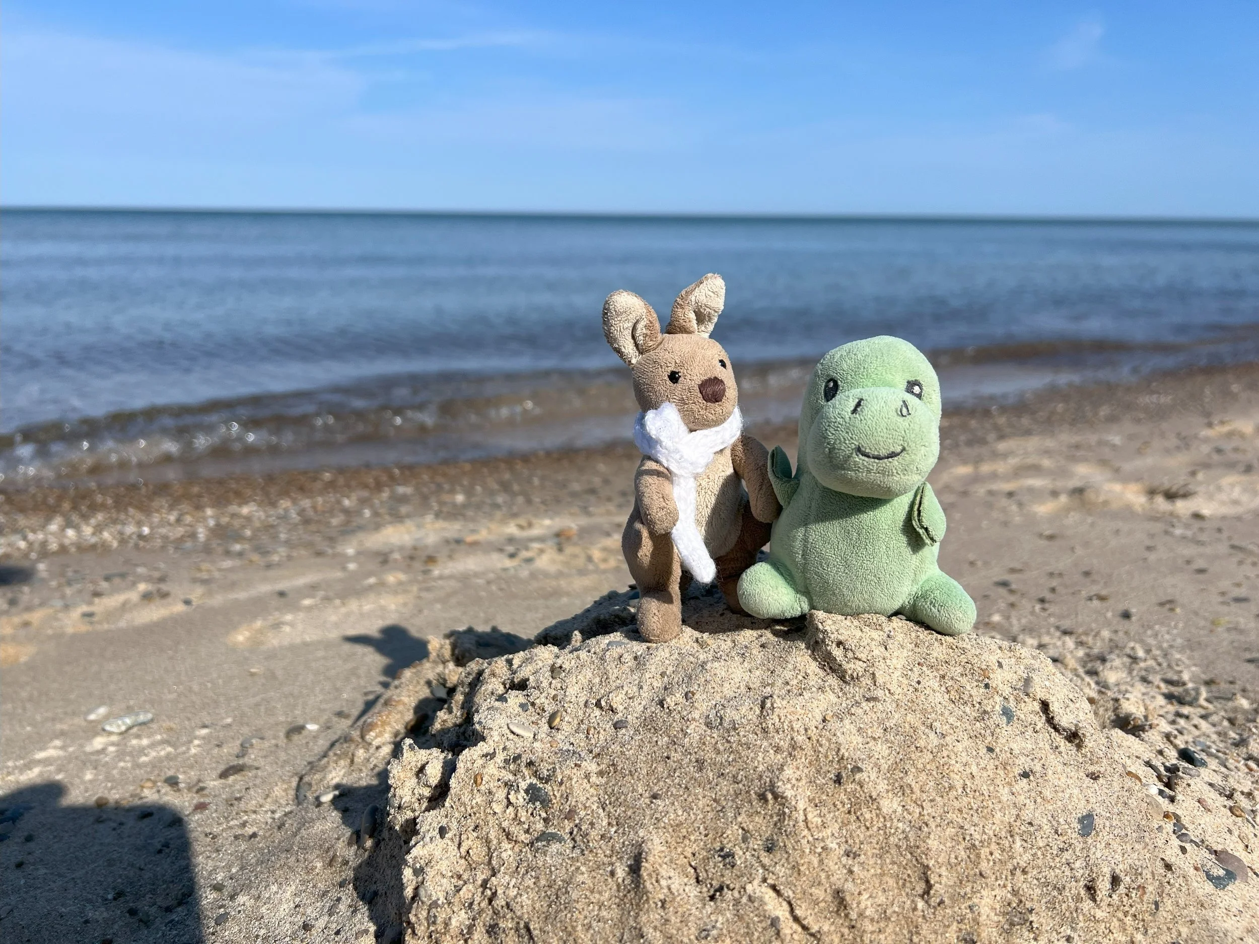 Fajita Gets Very Confused