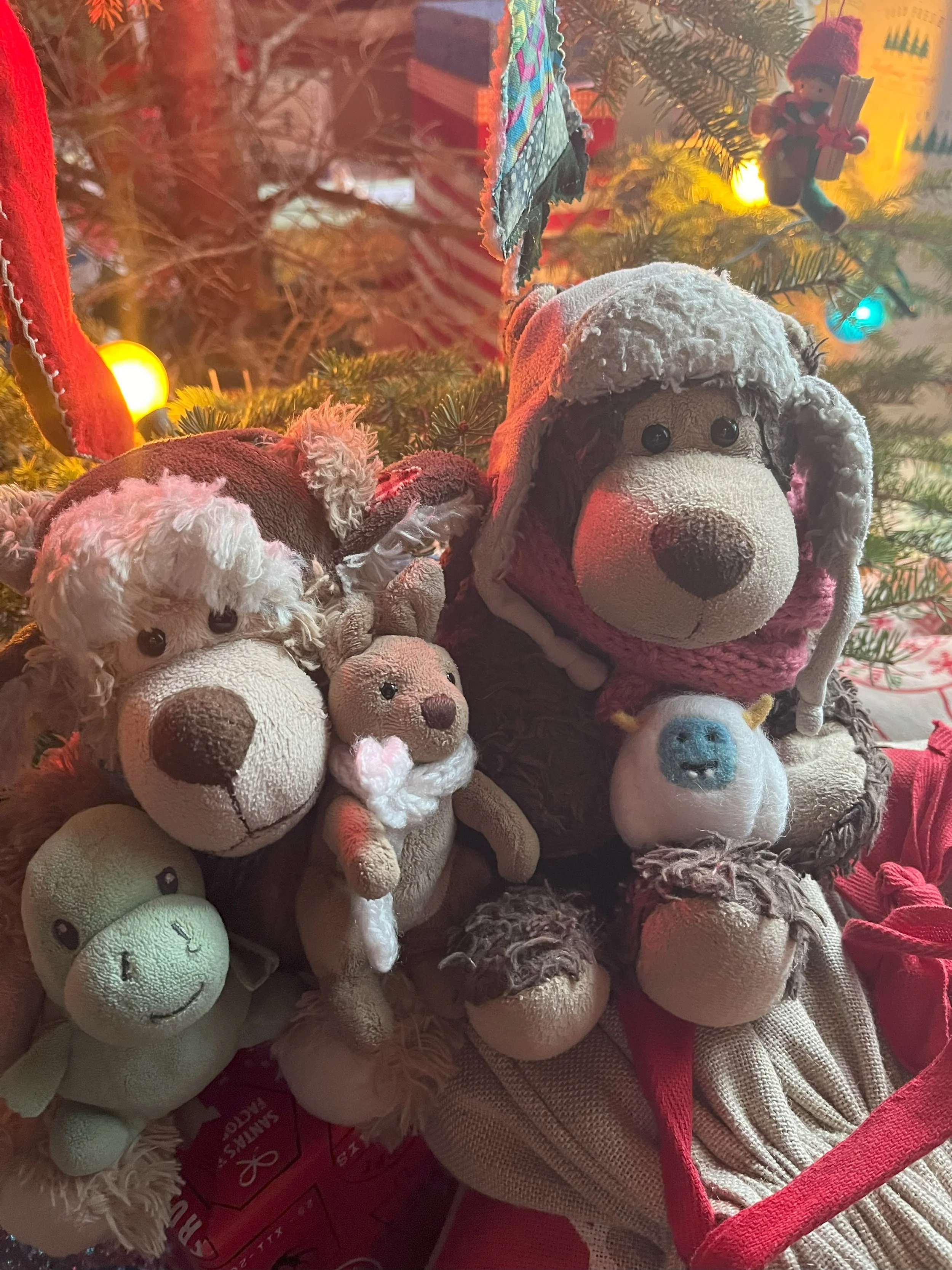 Holiday Greetings from Around the World