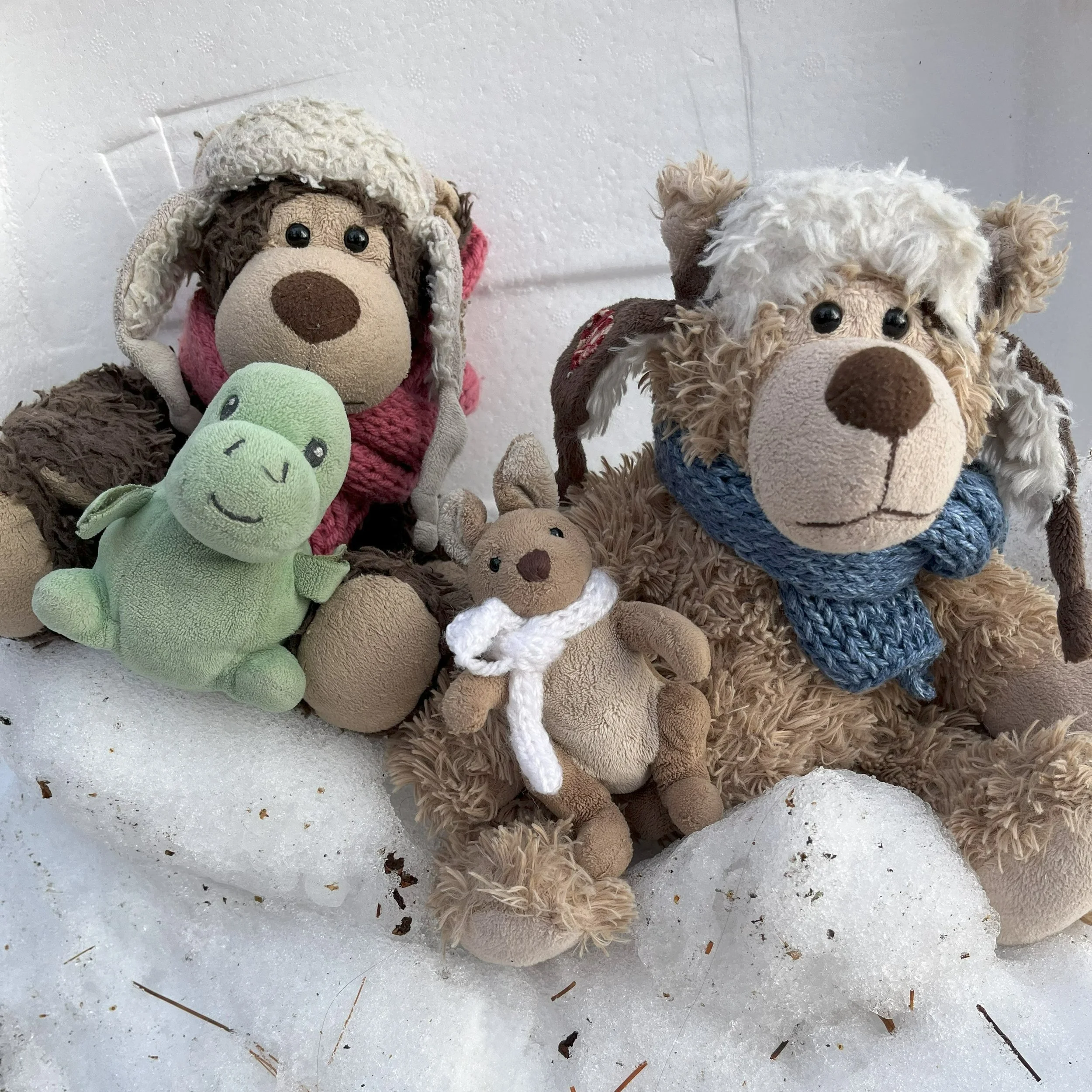 Survival in the Arctic