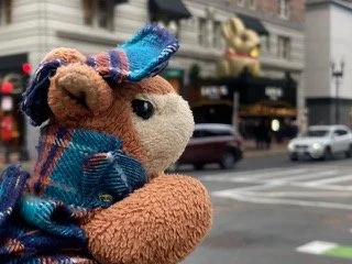 Spring Break in Beantown