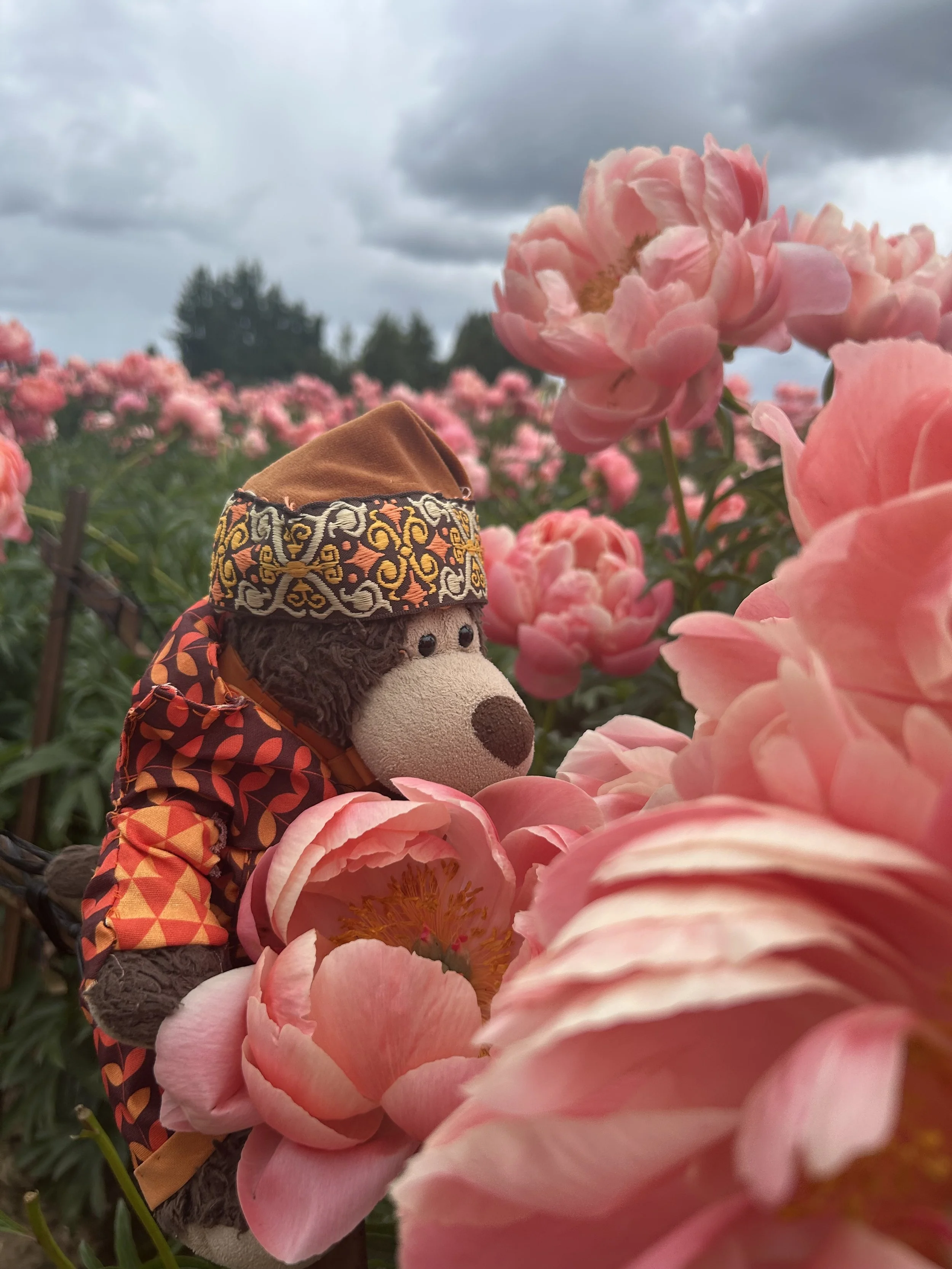 That's One Way to Look At It