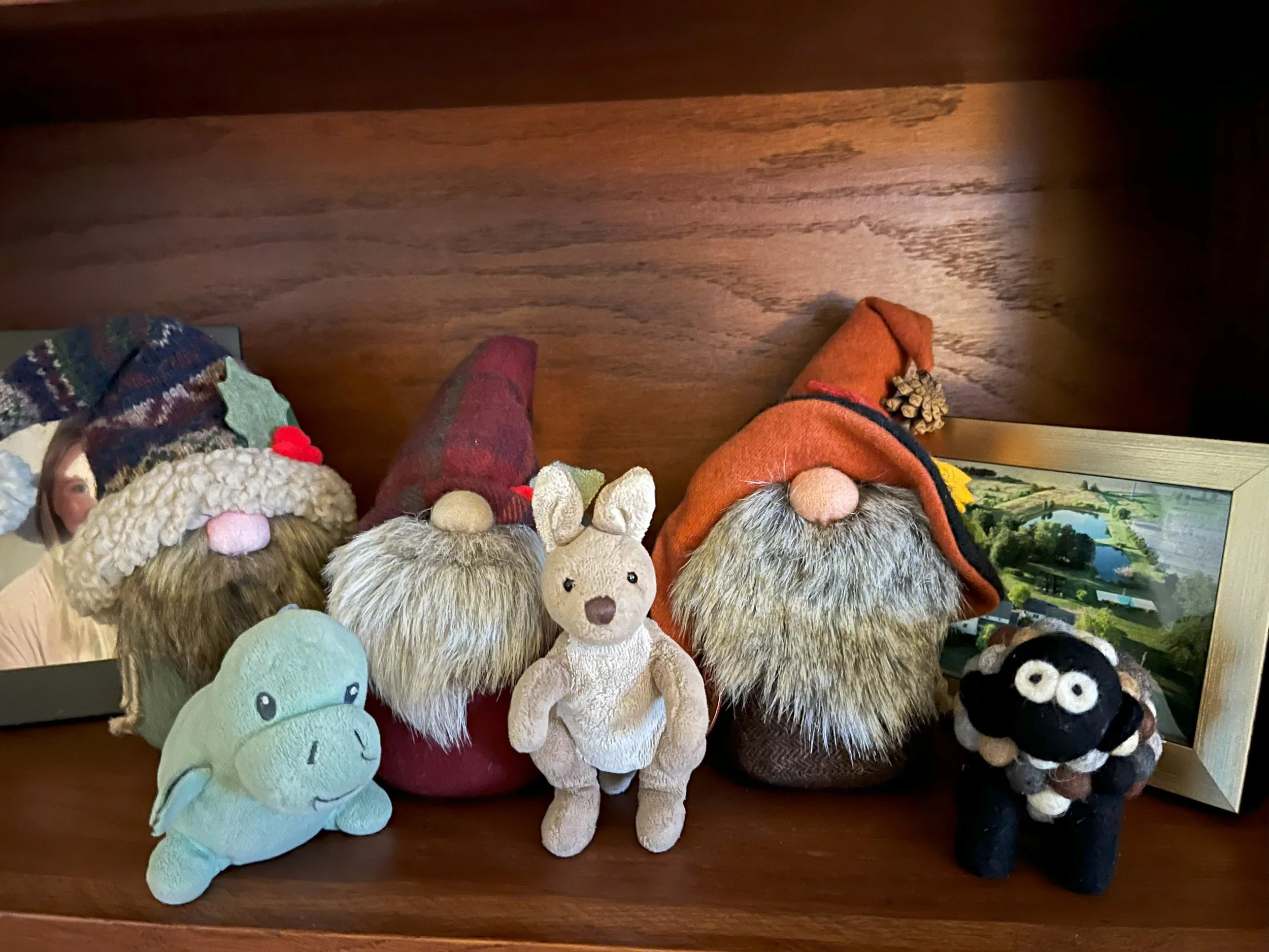 What is this Wonderful Place?