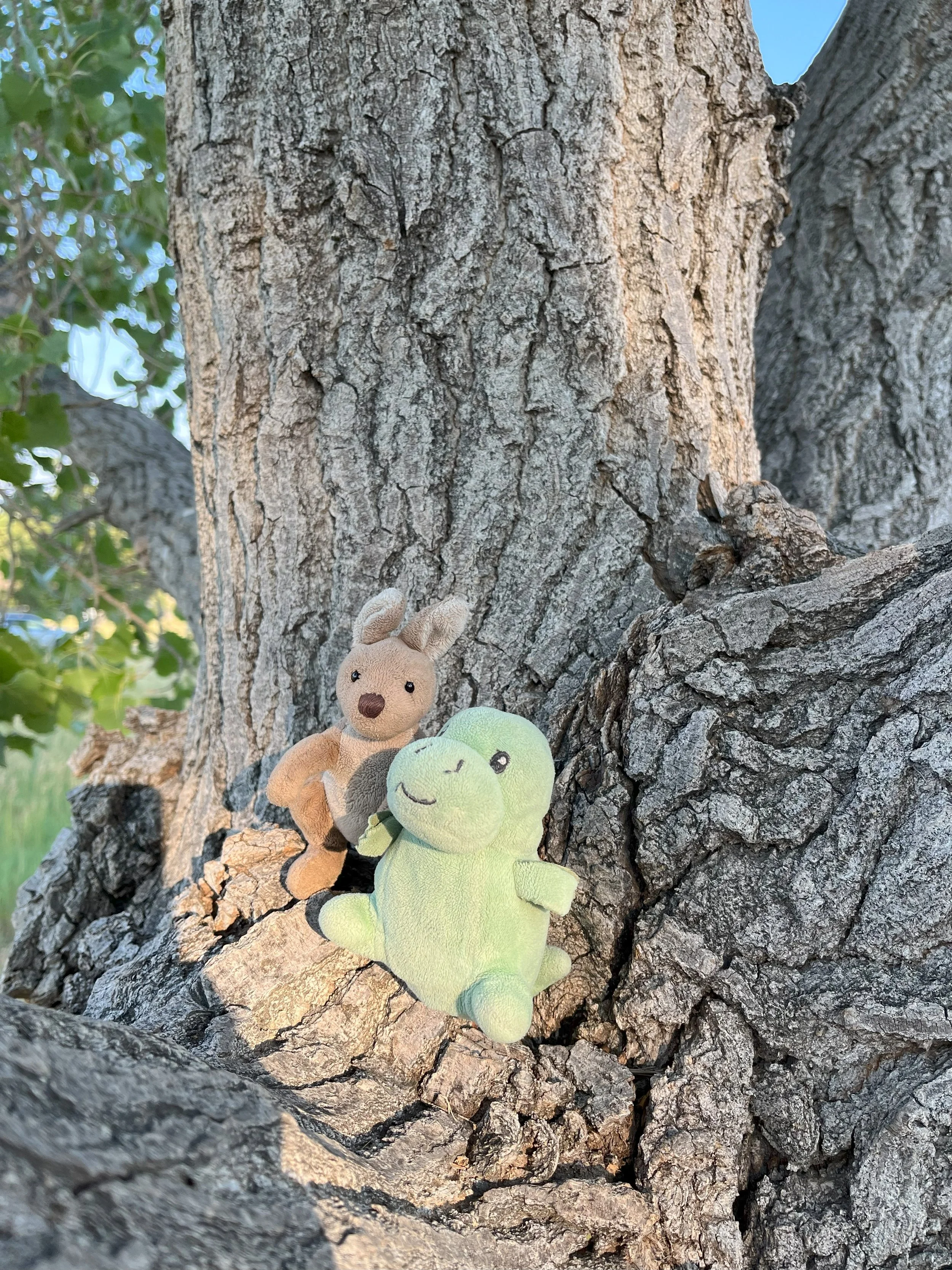 Taco's Mad Camping Skillz