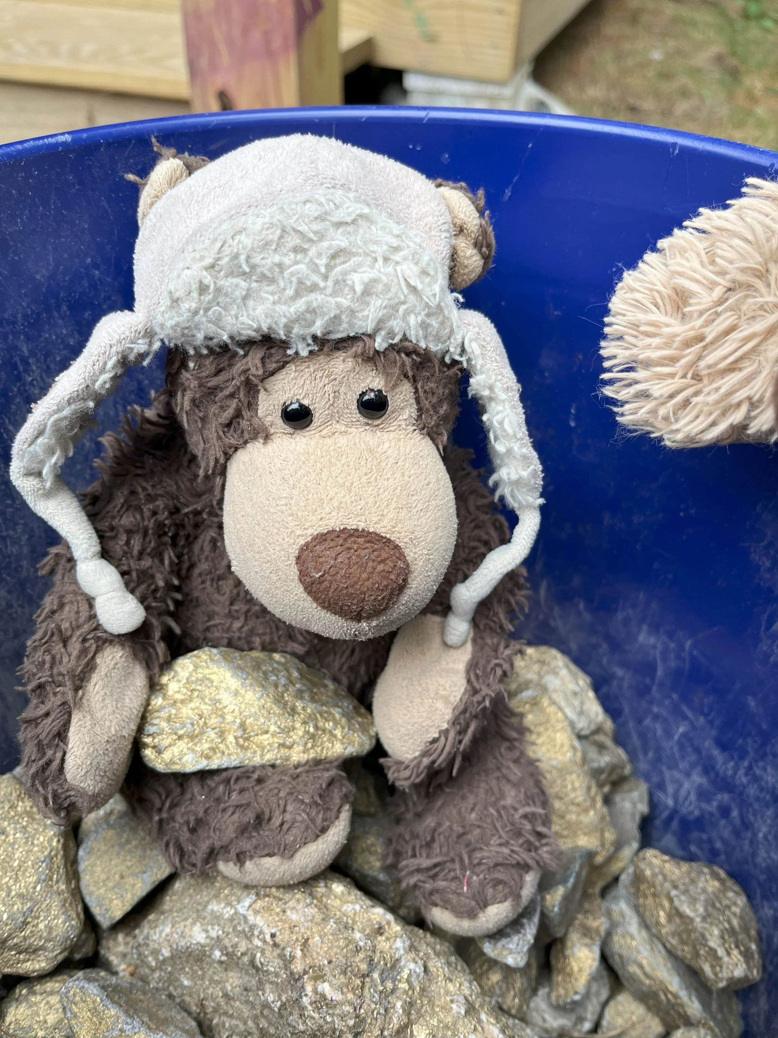 Concrete Plans Taking Shape