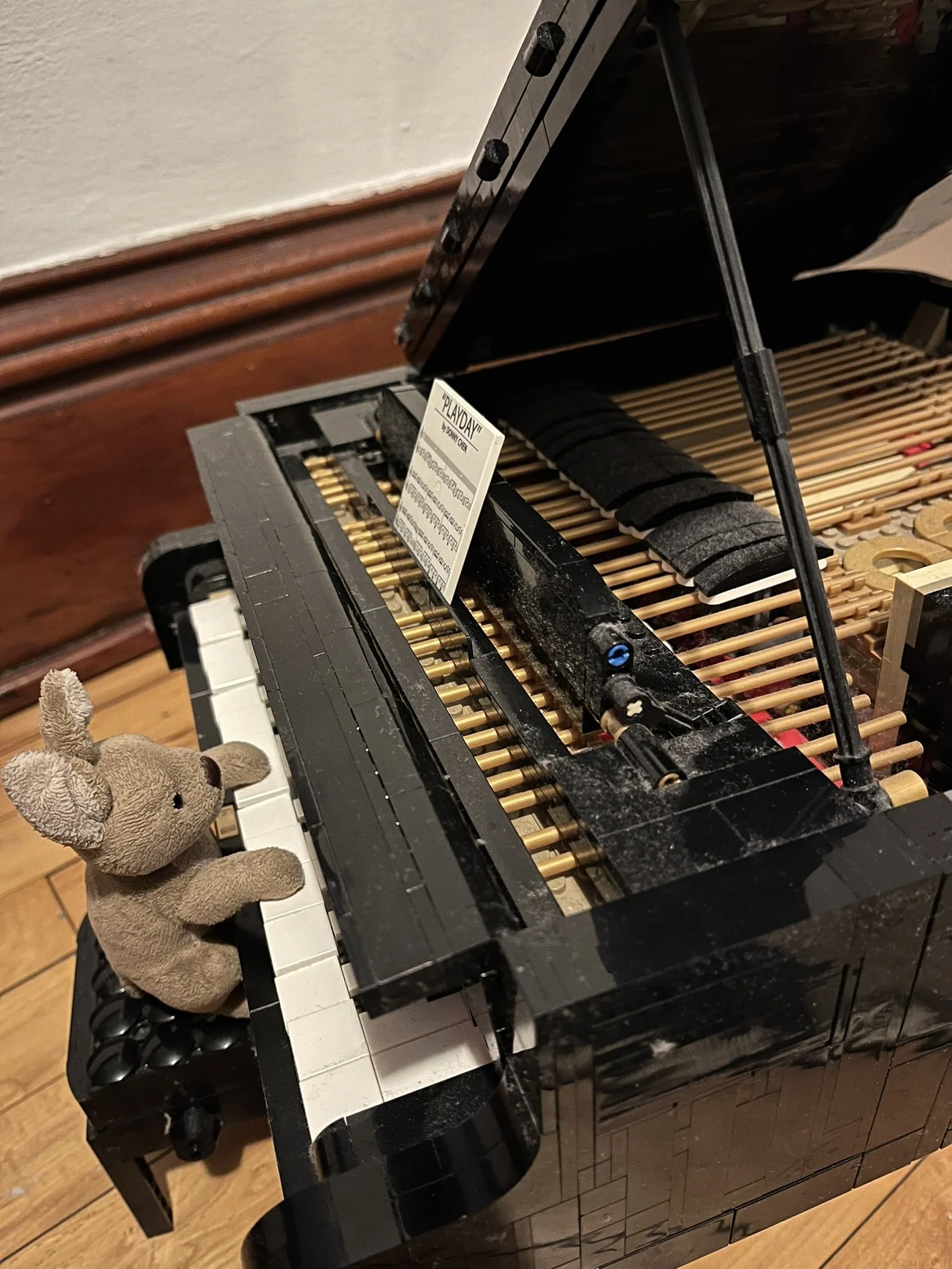 Fajita Has Some Questions... Again