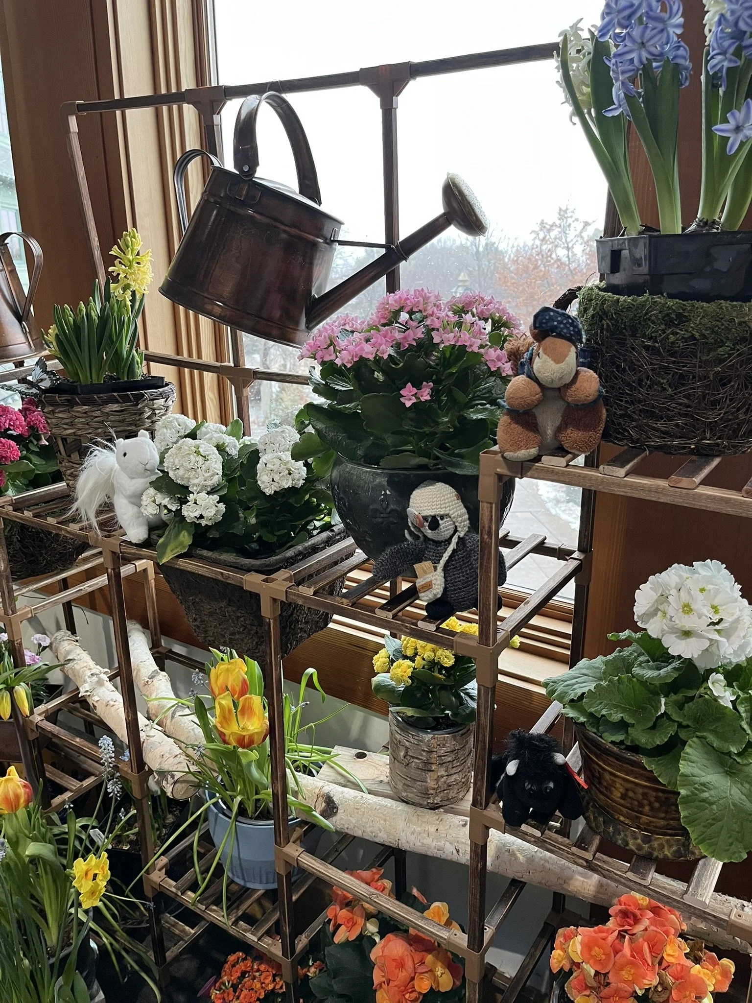 Flowers... and Friends?  How Lucky for Us!