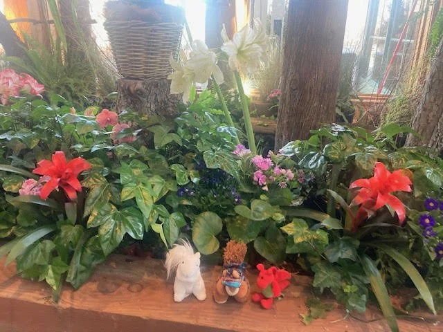 Spring is Here- Bring on the Snacks!