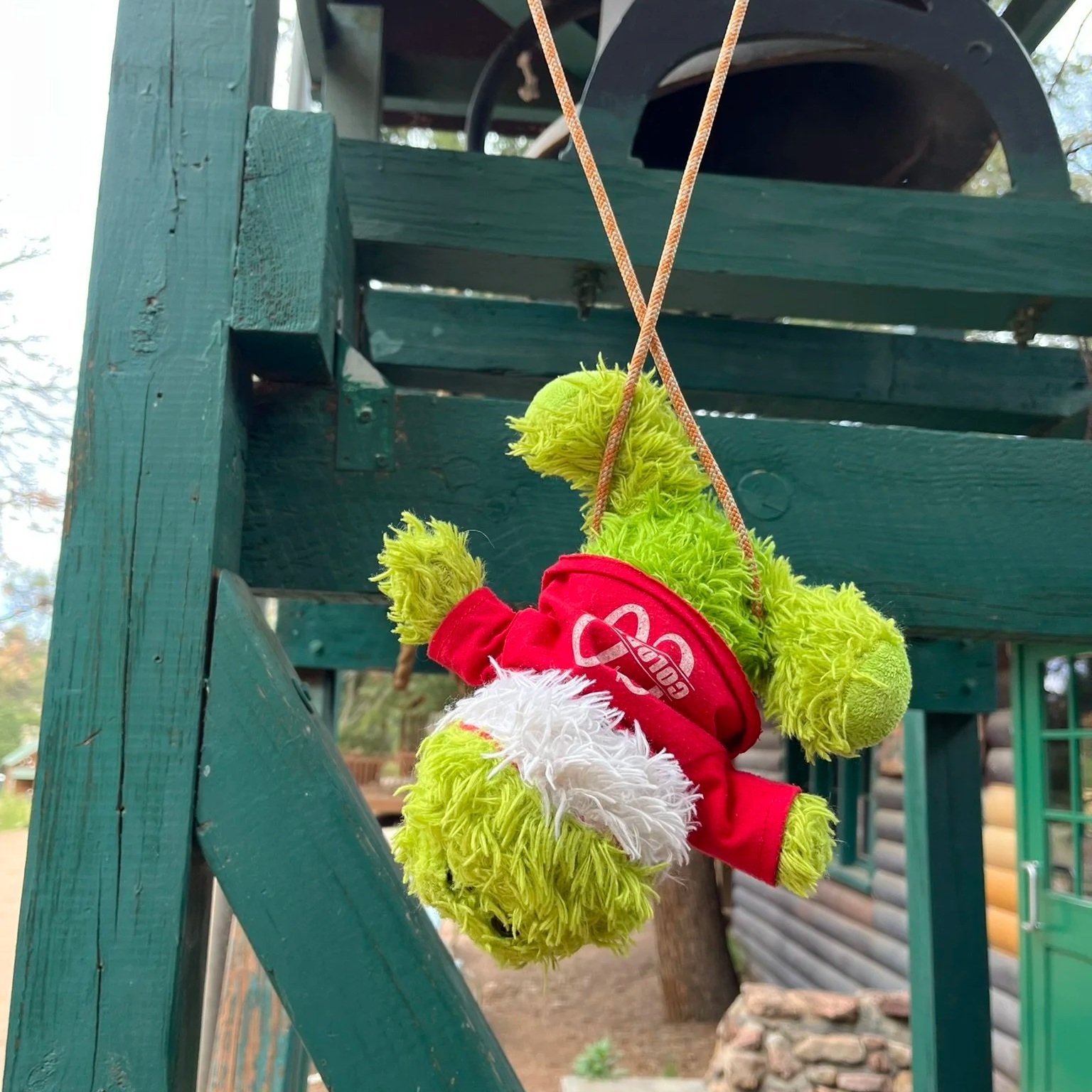 Hanging Around with Froggy