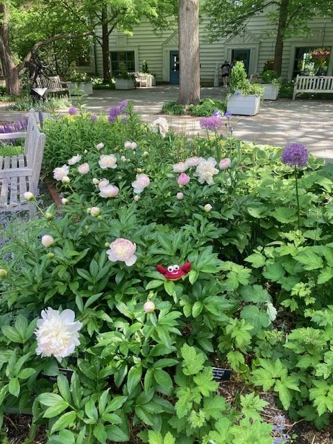 Frolic in the Flowers