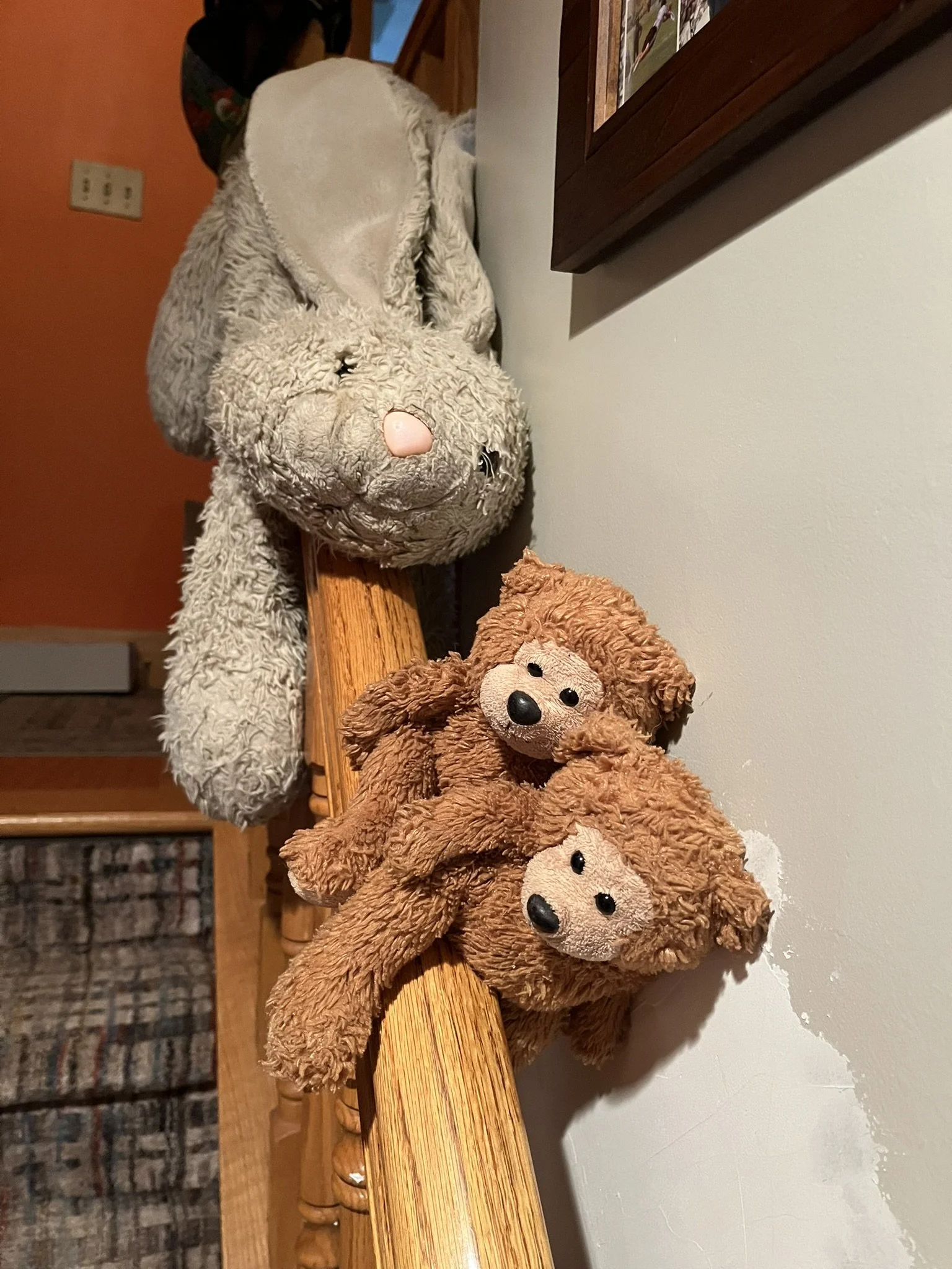 Freedom for Stuffies!