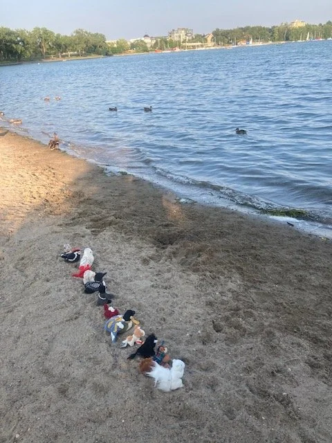An Evening at the Lake