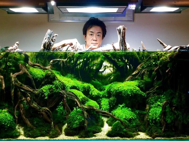 Underwater Pet Expo National Aquascaping event. Meet the judges 