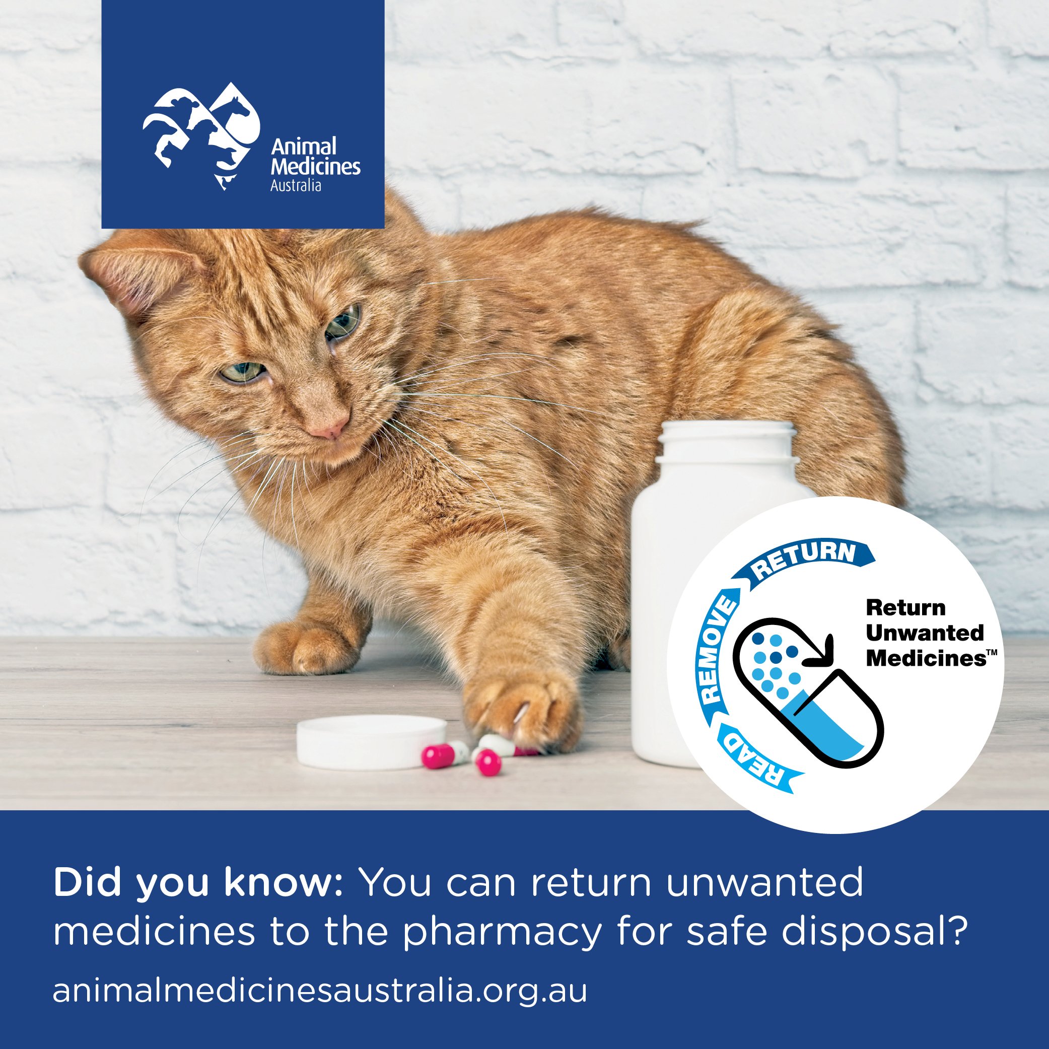 Did you know you can return unwanted veterinary medicines to the pharmacy  for safe disposal?… — PIAA