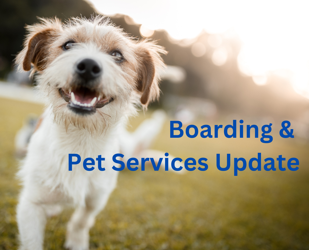 Boarding & pet services sector even stronger — PIAA