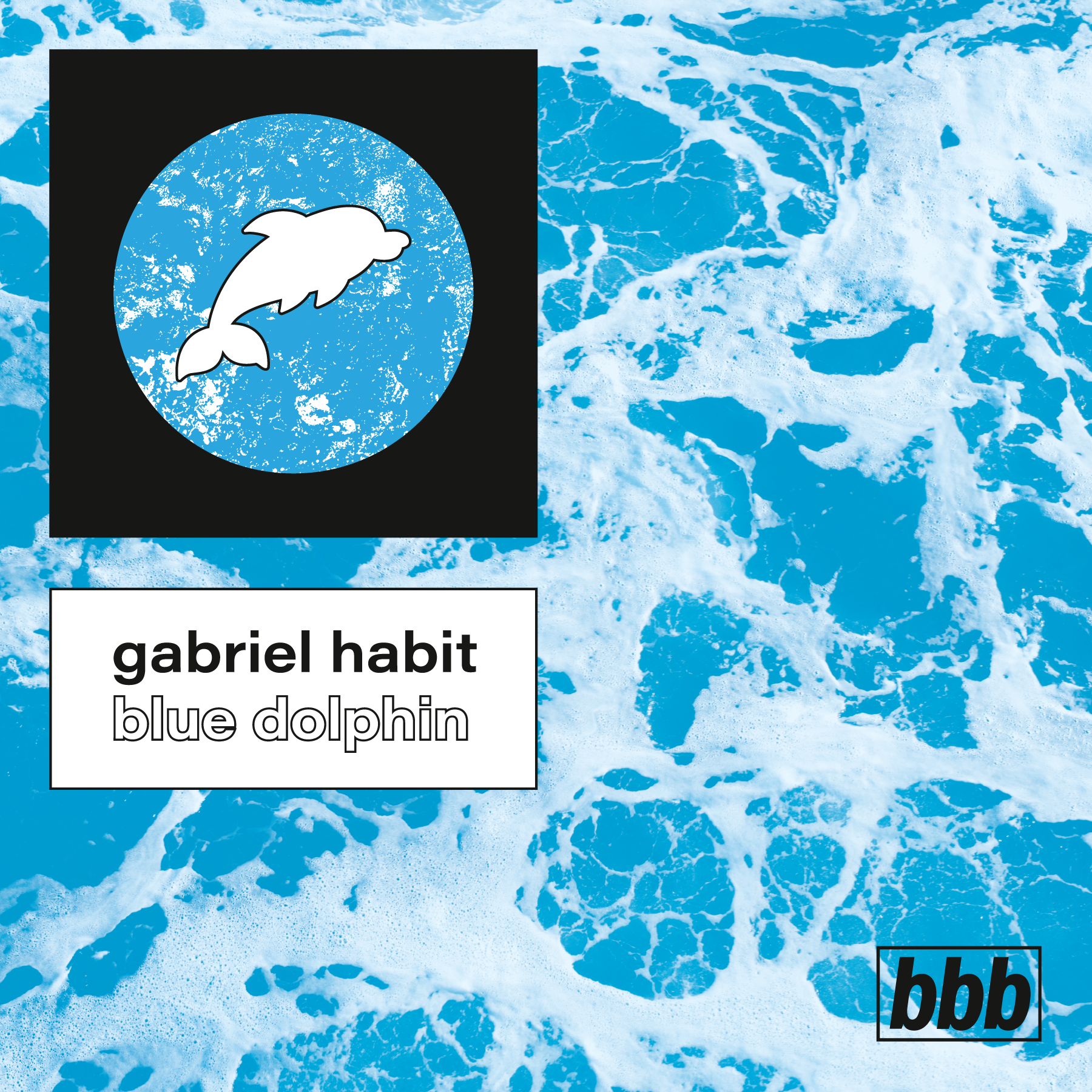 gabrielhabit_bluedolphin-01.png