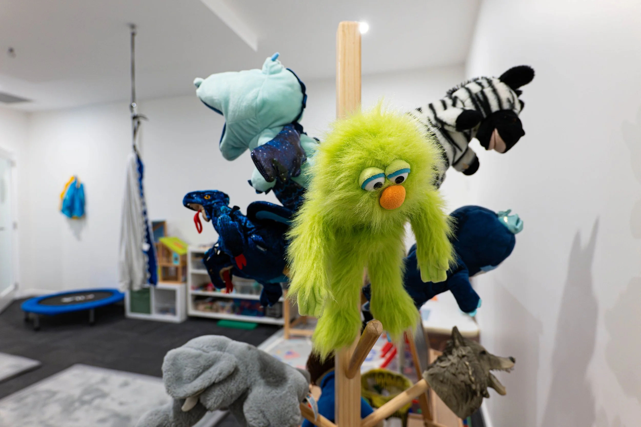 Various toys and puppets.