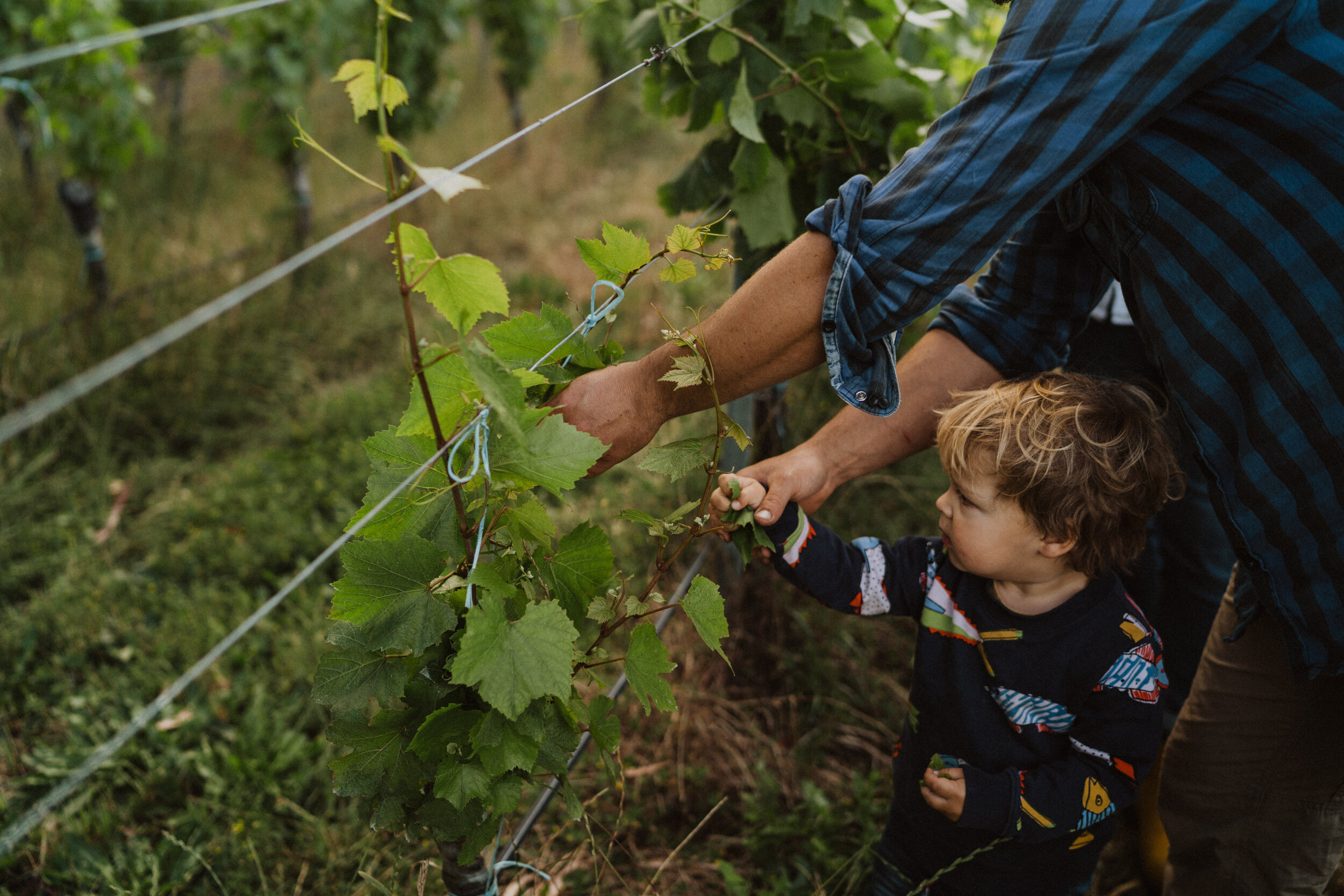 Trait Wines - Paris Hawken Photography-149.jpg