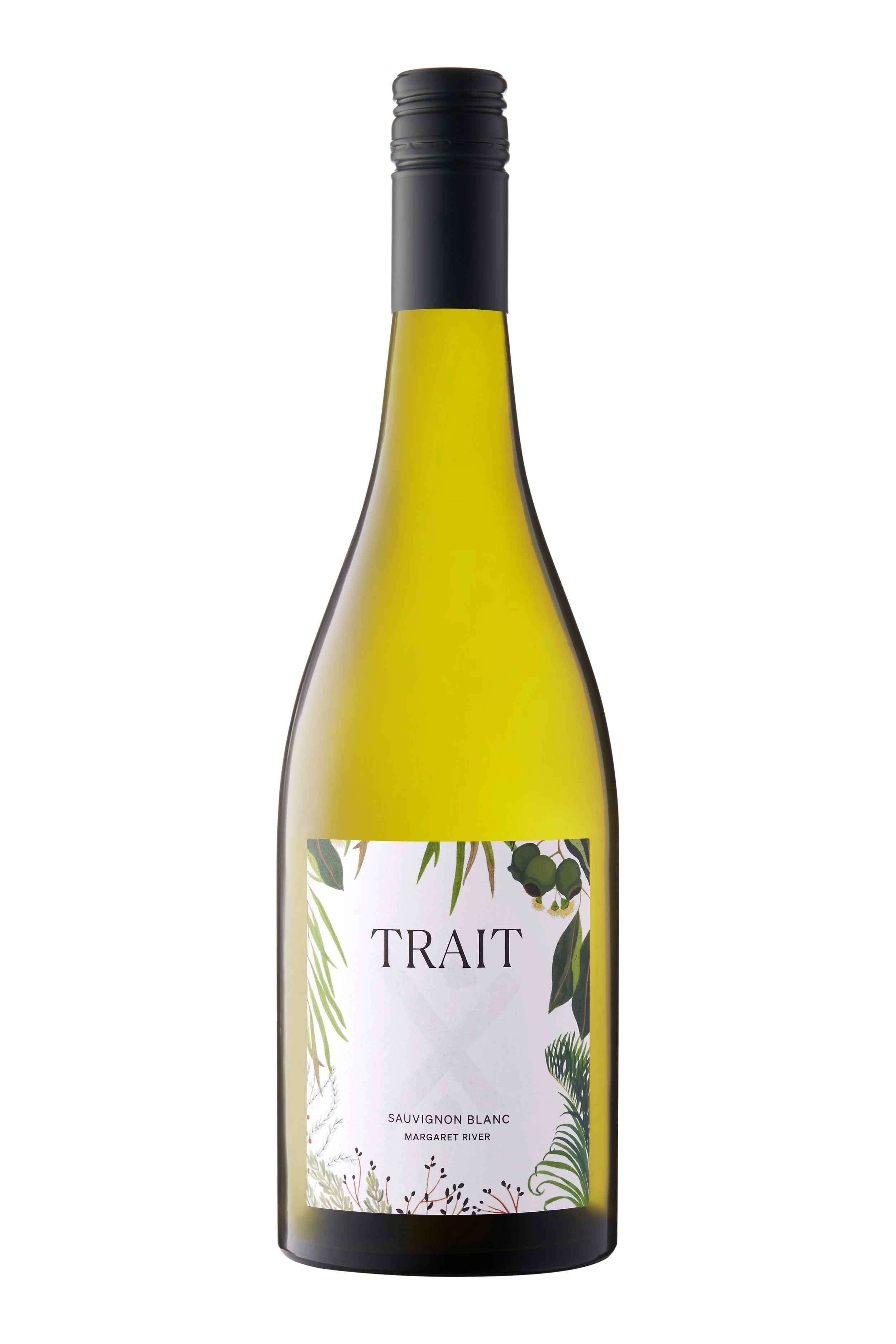 Sauvignon Blanc 2024
