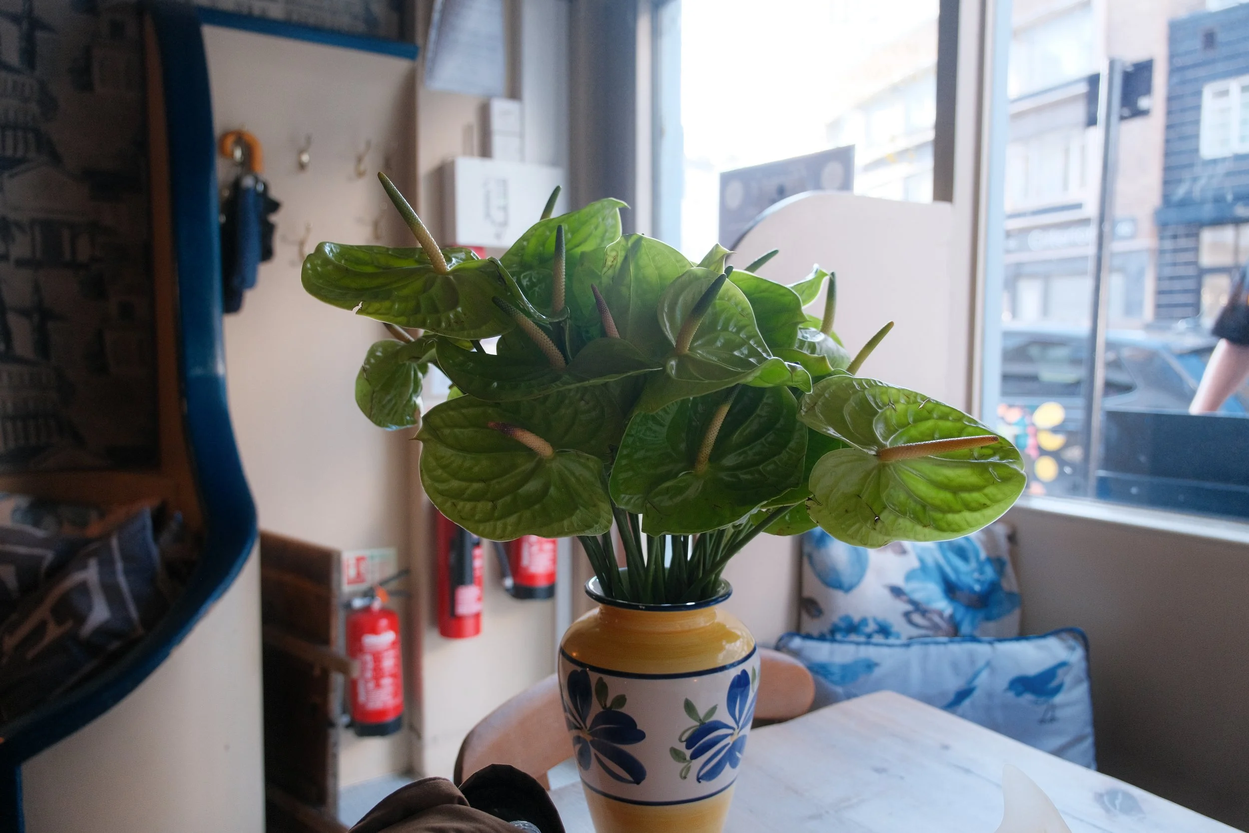 DSCF6709.jpg