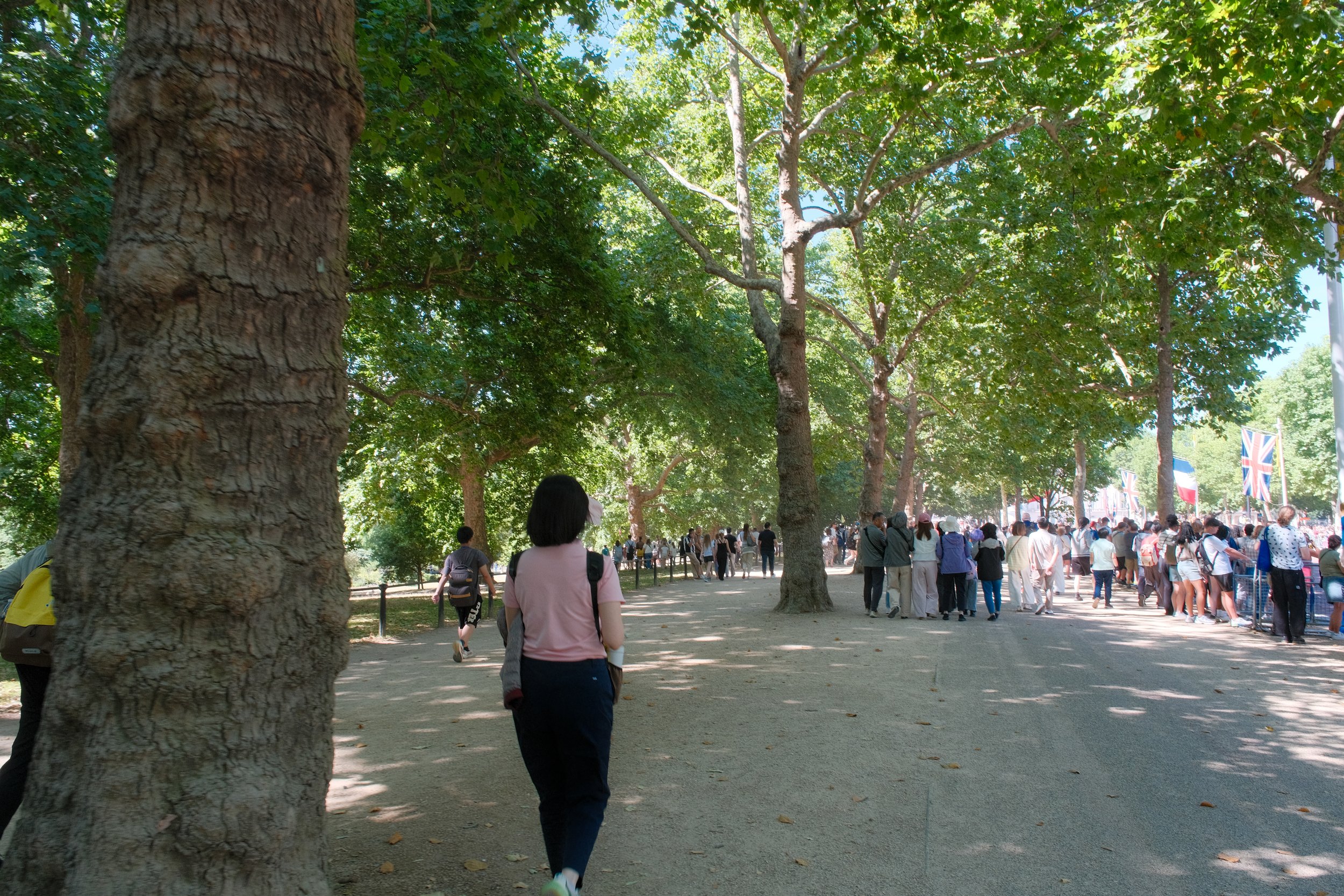 DSCF6520.jpg