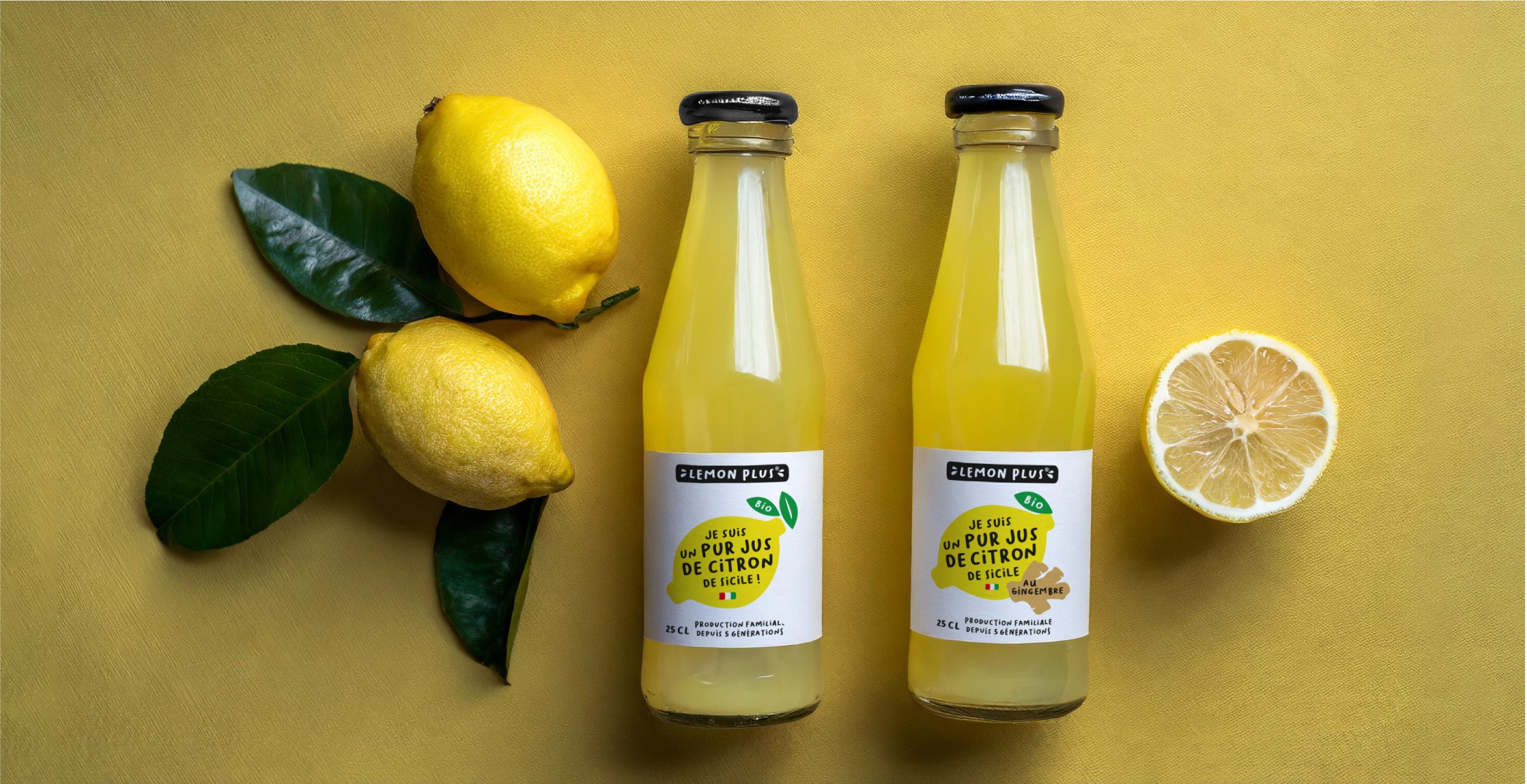 SITE_LEMON_PLUS9.jpg