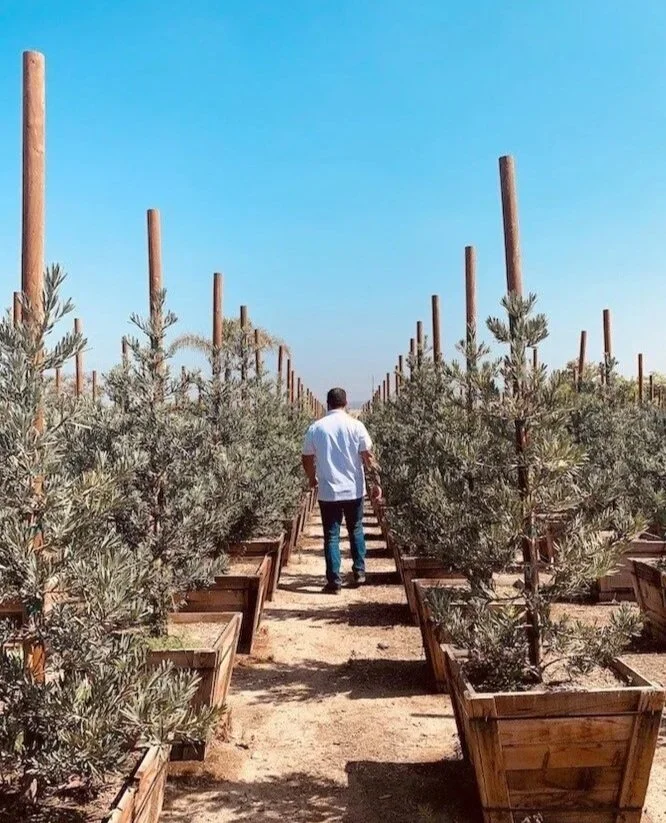 A man walking through a garden of potted plants on a sunny day with a clear blue sky.