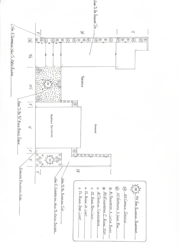 The-Good-Plant-Sketch3.webp