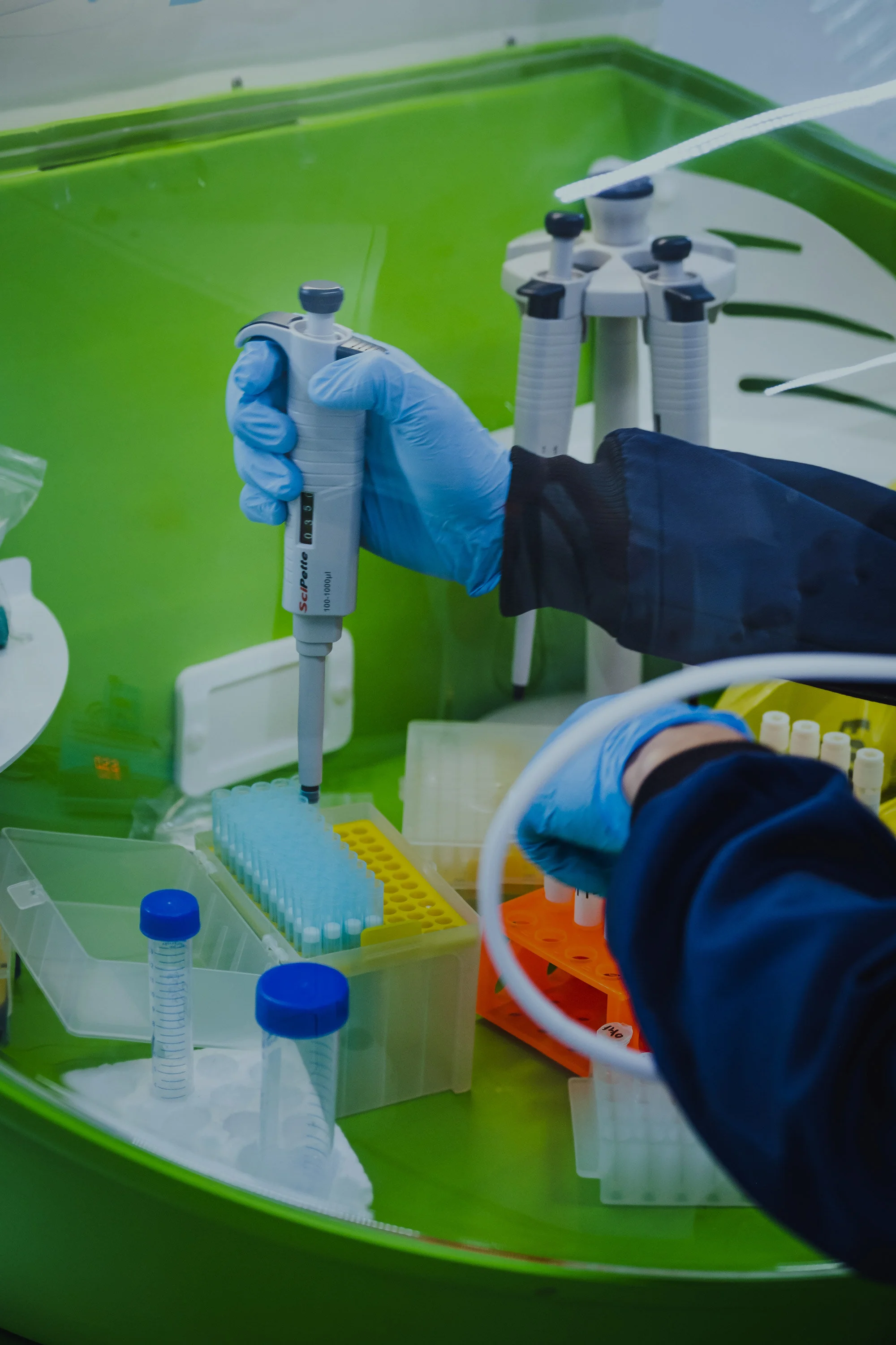 Hub and Spoke Testing Onsite Screening Cignpost Diagnostics