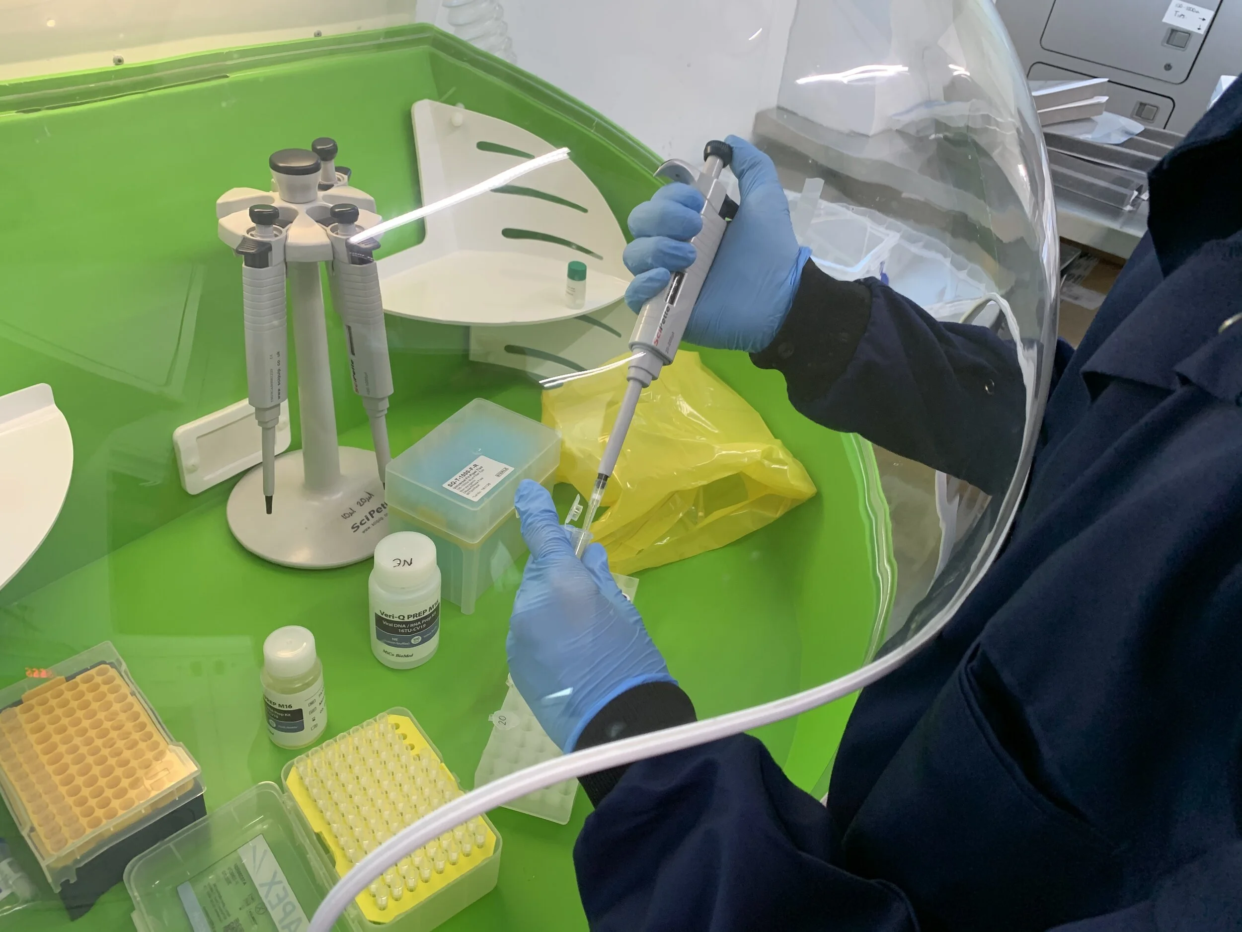 When Will It Be Safe To Return Office Staff To Work?