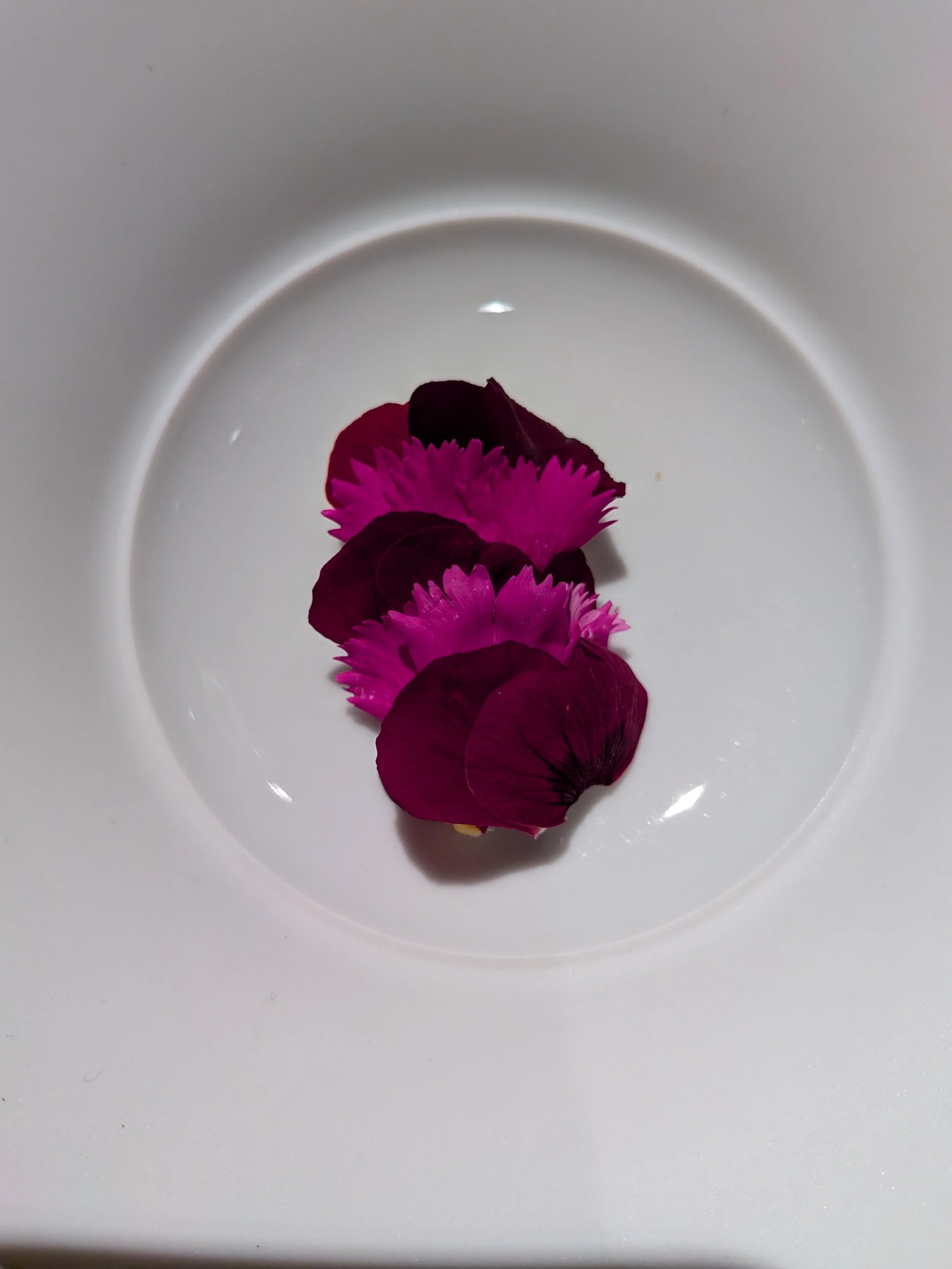 dessert, julian stieger, michelin, rote wand chefs table.jpg