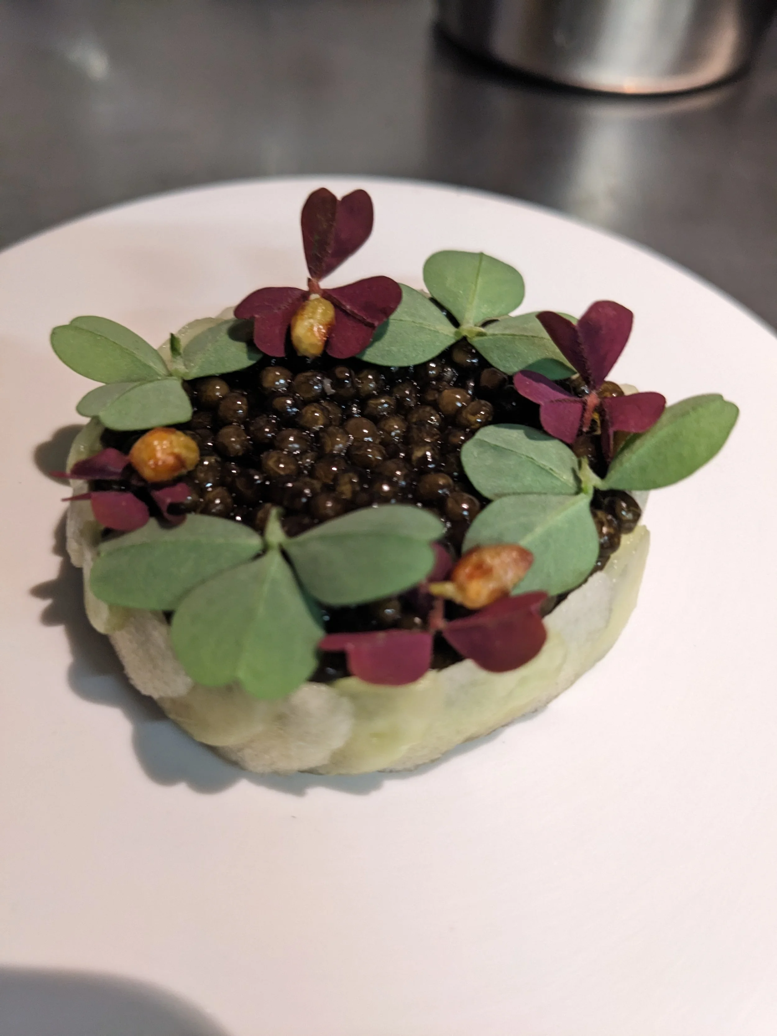 Alpine Cheesecake, Julian Stieger, Michelin.jpg