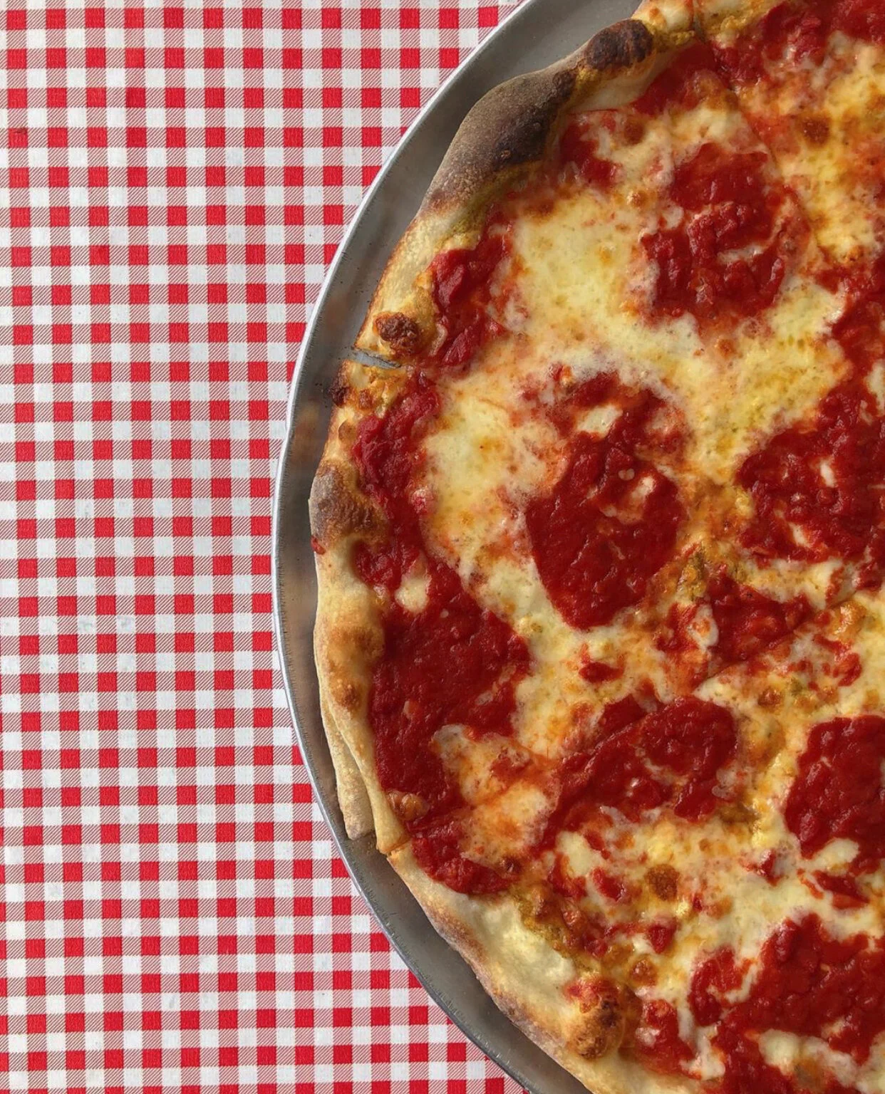 photo credit to Instagram user @thecatfishchronicles