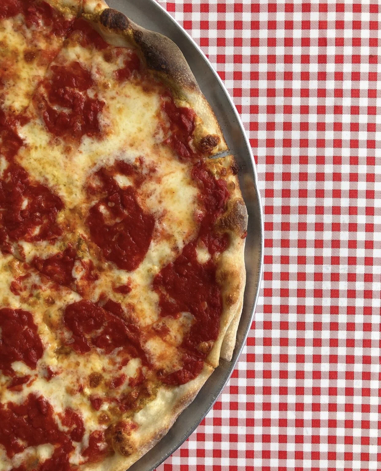 photo credit to Instagram user @thecatfishchronicles