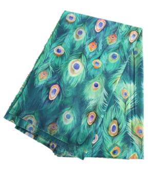Peacock Feather - Green 2.png