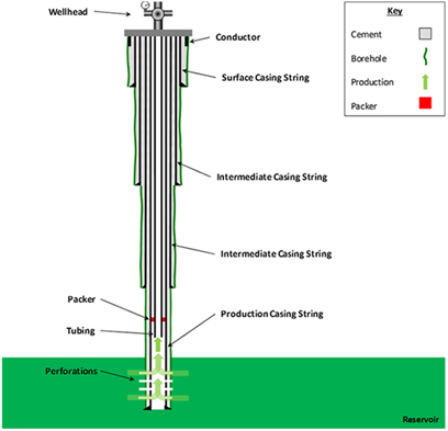 Log the well with open hole logs